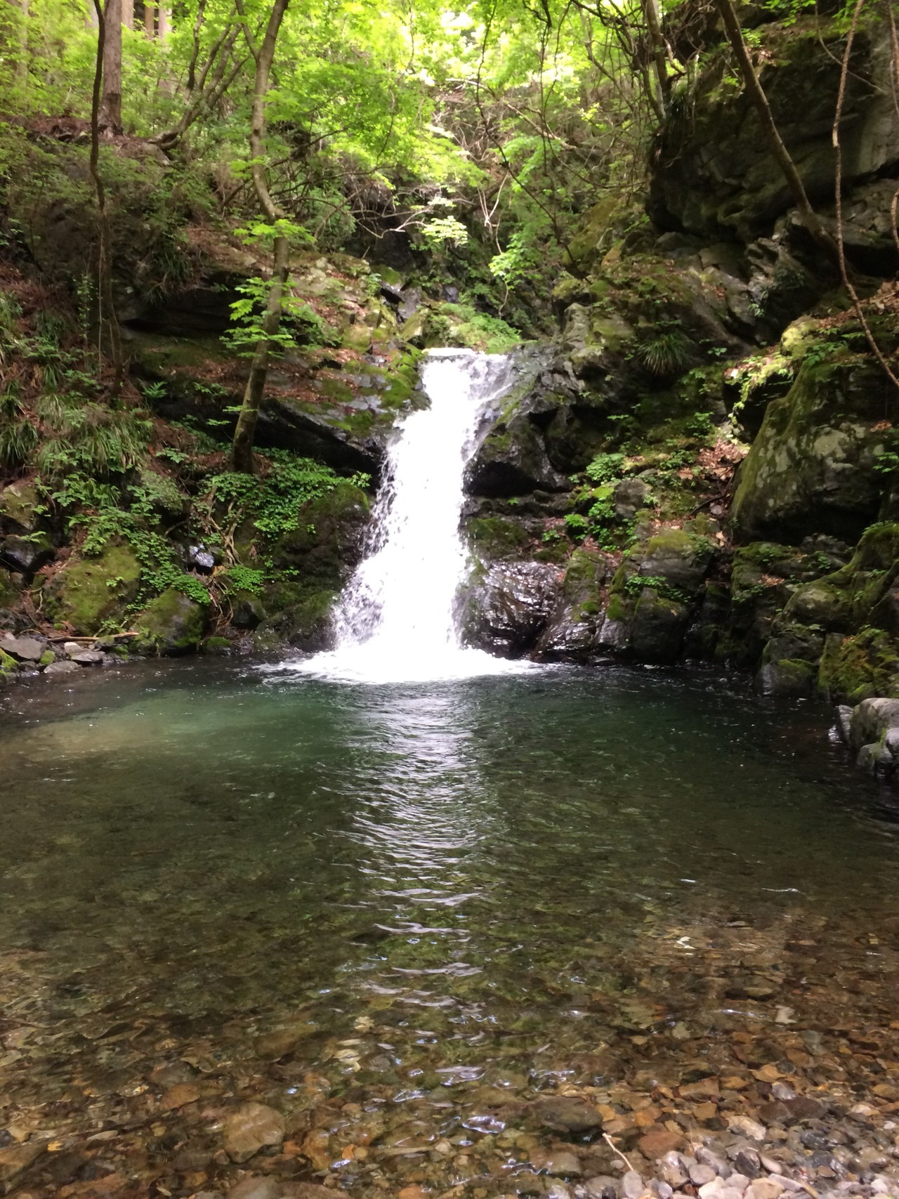 奥多摩日原川 倉沢谷本谷の沢歩き 後藤文蔵さんの川苔山 川乗山 の活動データ Yamap ヤマップ