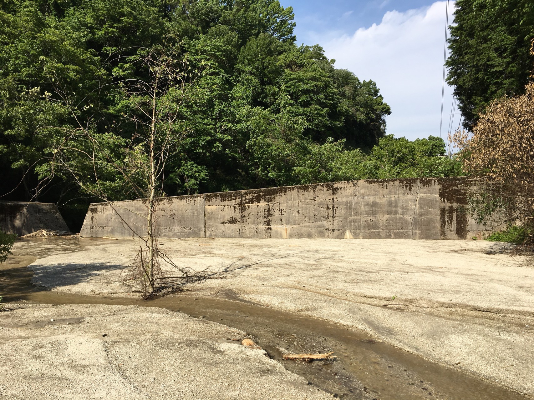 No 39 ３週連続 のつつじ園 ダイヤモンドトレール縦走石板めぐり プレート 屯鶴峯 葛城山 Jjeyさんの金剛山 二上山 大和葛城山の活動日記 Yamap ヤマップ