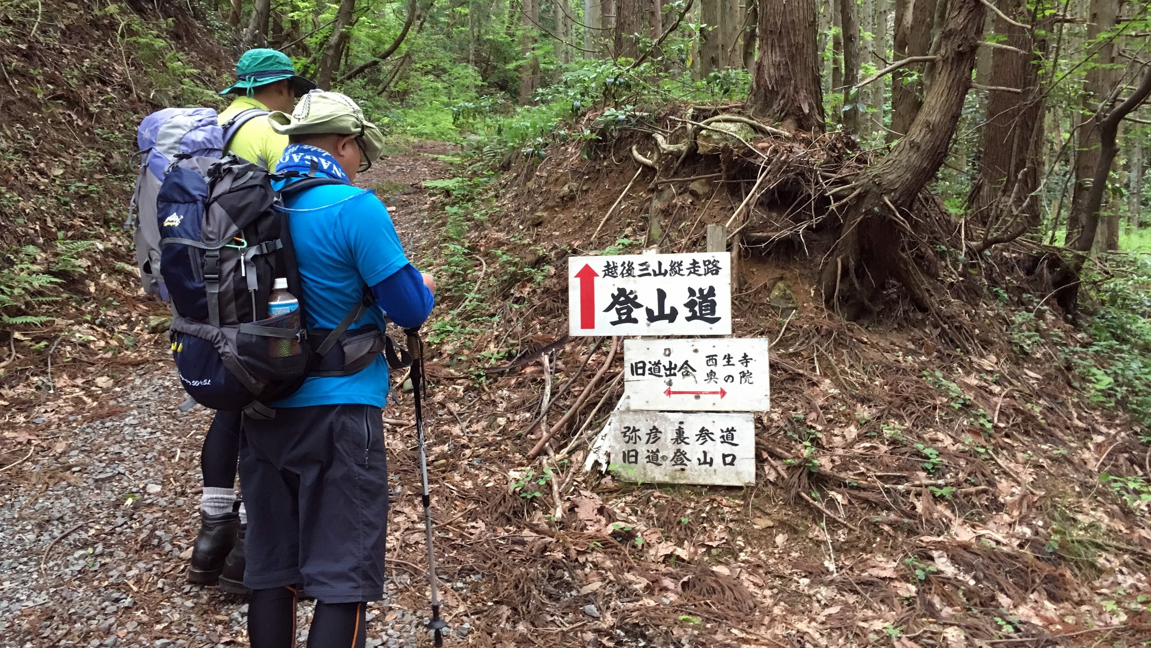 弥彦山 裏参道登山口 多宝山 雨乞山 Rendezvous602さんの角田山の活動データ Yamap ヤマップ