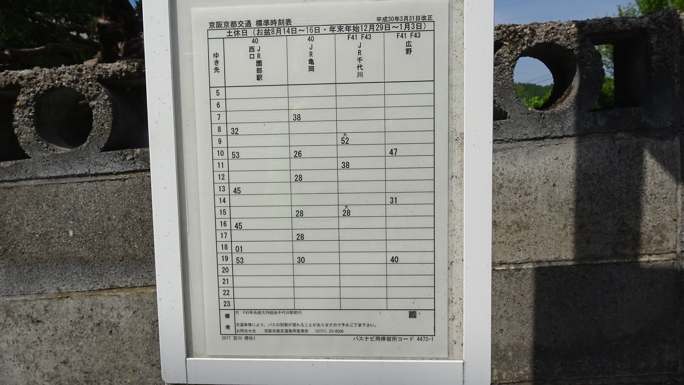 半国山登山 赤熊コ ス 半国山 標高774m 登頂記 Cat Climberさんの半国山の活動日記 Yamap ヤマップ