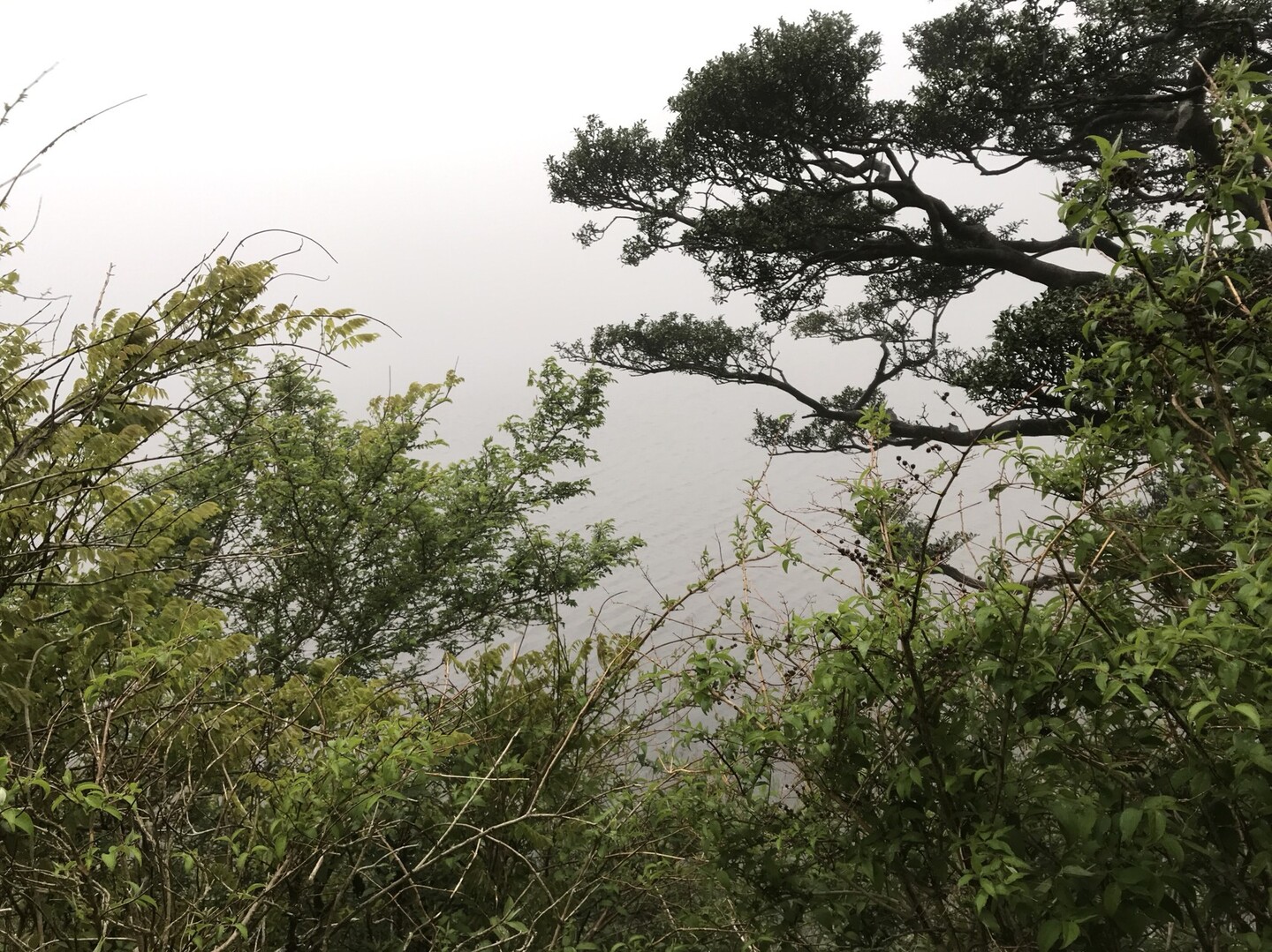 箱根湯本 湯坂路 石仏群ハイキングコース 箱根町港 箱根峠 山伏峠 三国山 乙女峠 仙石原 Nagamaruさんの金時山 明神ヶ岳の活動日記 Yamap ヤマップ