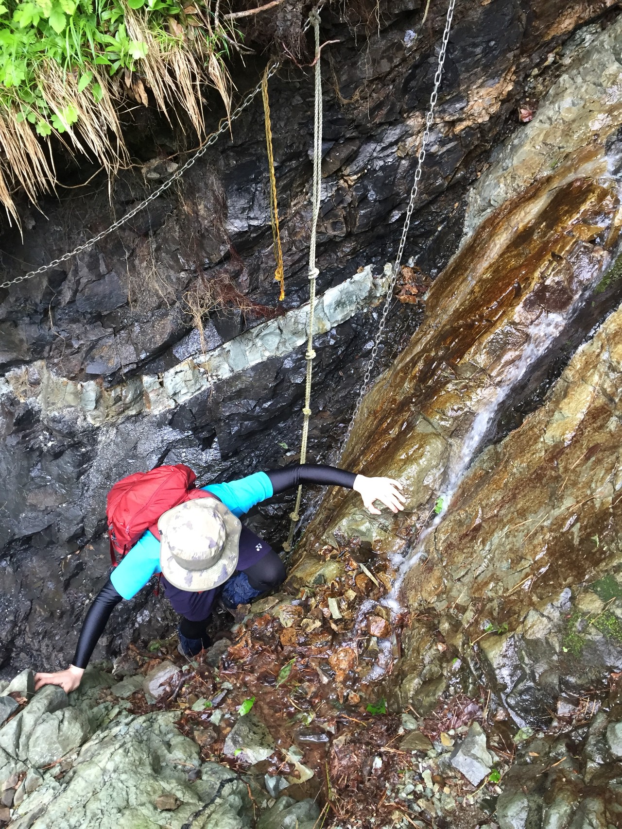 弥彦山 田ノ浦ルート 崖松ルート もときさんの角田山の活動データ Yamap ヤマップ