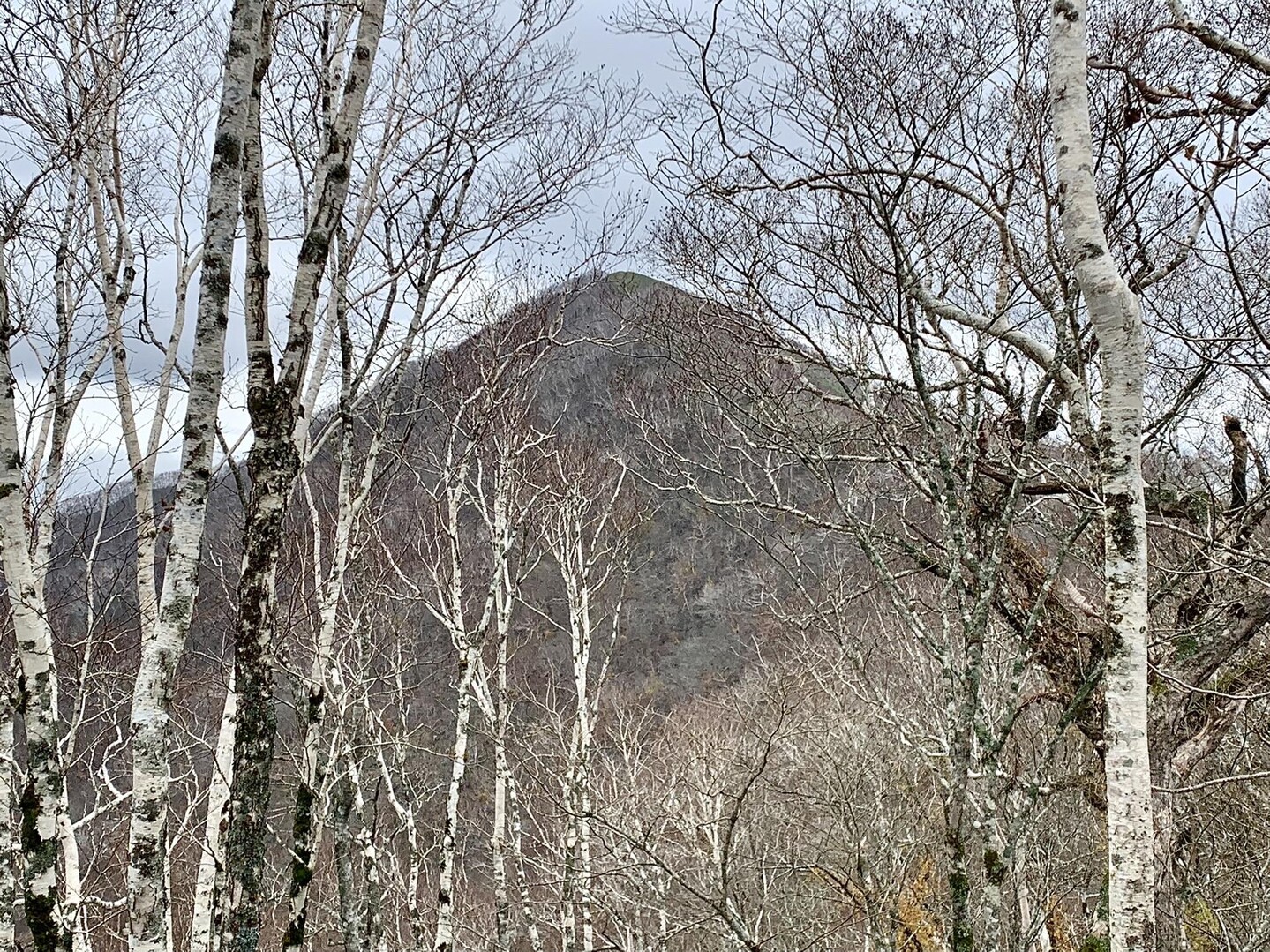 前ピセナイ山・ピセナイ山 / POGMOTHONさんのピセナイ山の活動データ YAMAP / ヤマップ