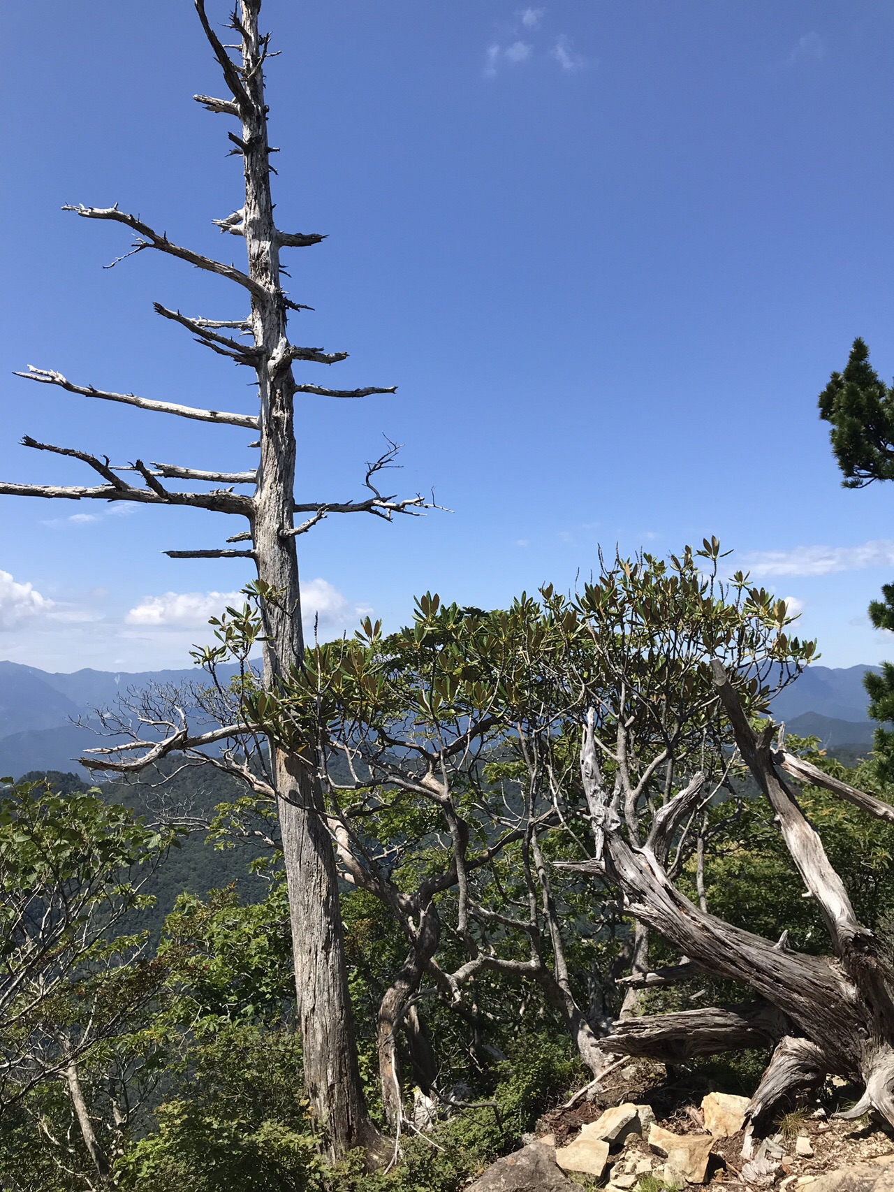 大台ヶ原山 日出ヶ岳 大蛇ぐら 19 08 26 ブルーさんの大台ヶ原山 日出ヶ岳 大杉谷の活動データ Yamap ヤマップ