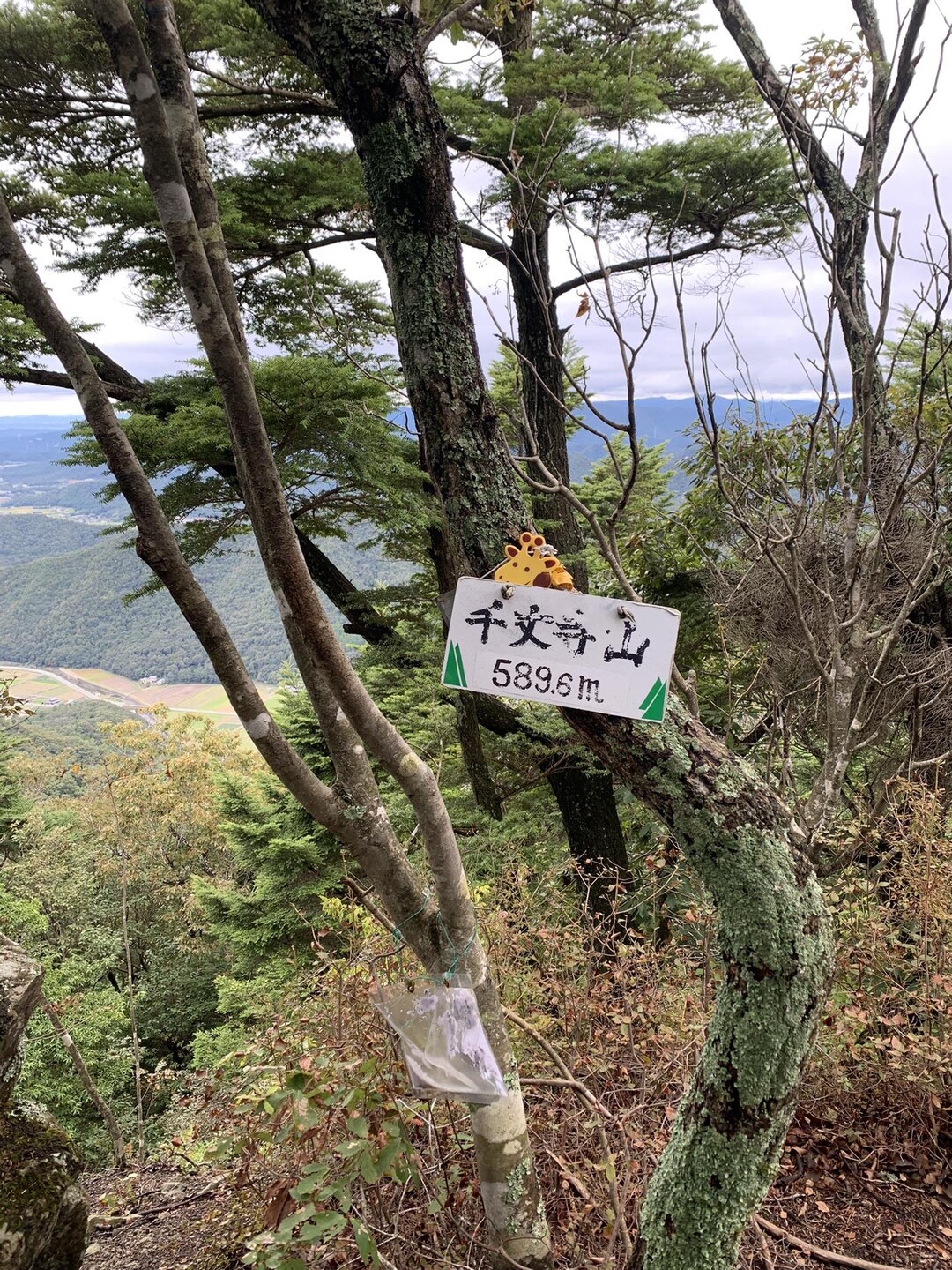 三田の里山③ 北千丈寺山・千丈寺山 / けいこさんの千丈寺山・てんぐの森の活動データ YAMAP / ヤマップ
