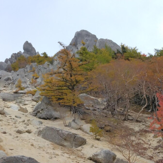景石（八ヶ岳） 鳳凰山（御座石鉱泉~地蔵岳・赤抜沢ノ頭）熊🐻初エンカウント / 伊藤