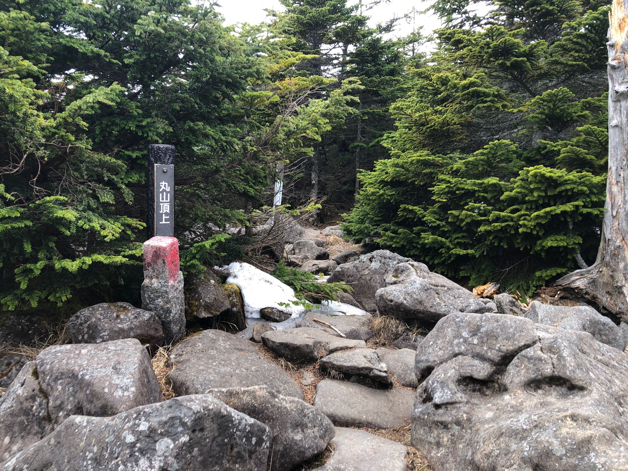 丸山頂上、岩がちょっぴりと。