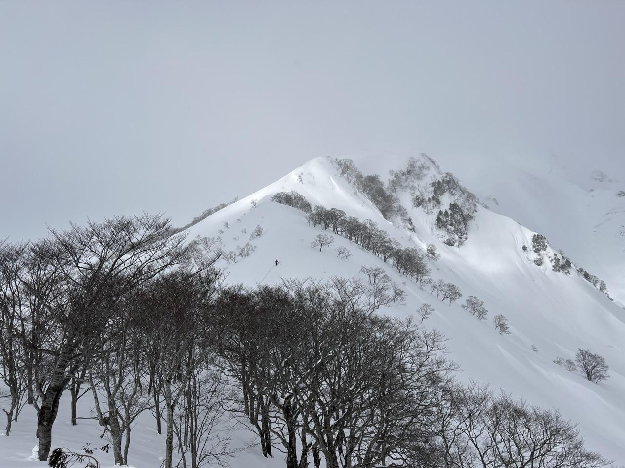 谷川岳・七ツ小屋山・大源太山 福井にーさんが先行しております。自分はワカン外れたので付け直し