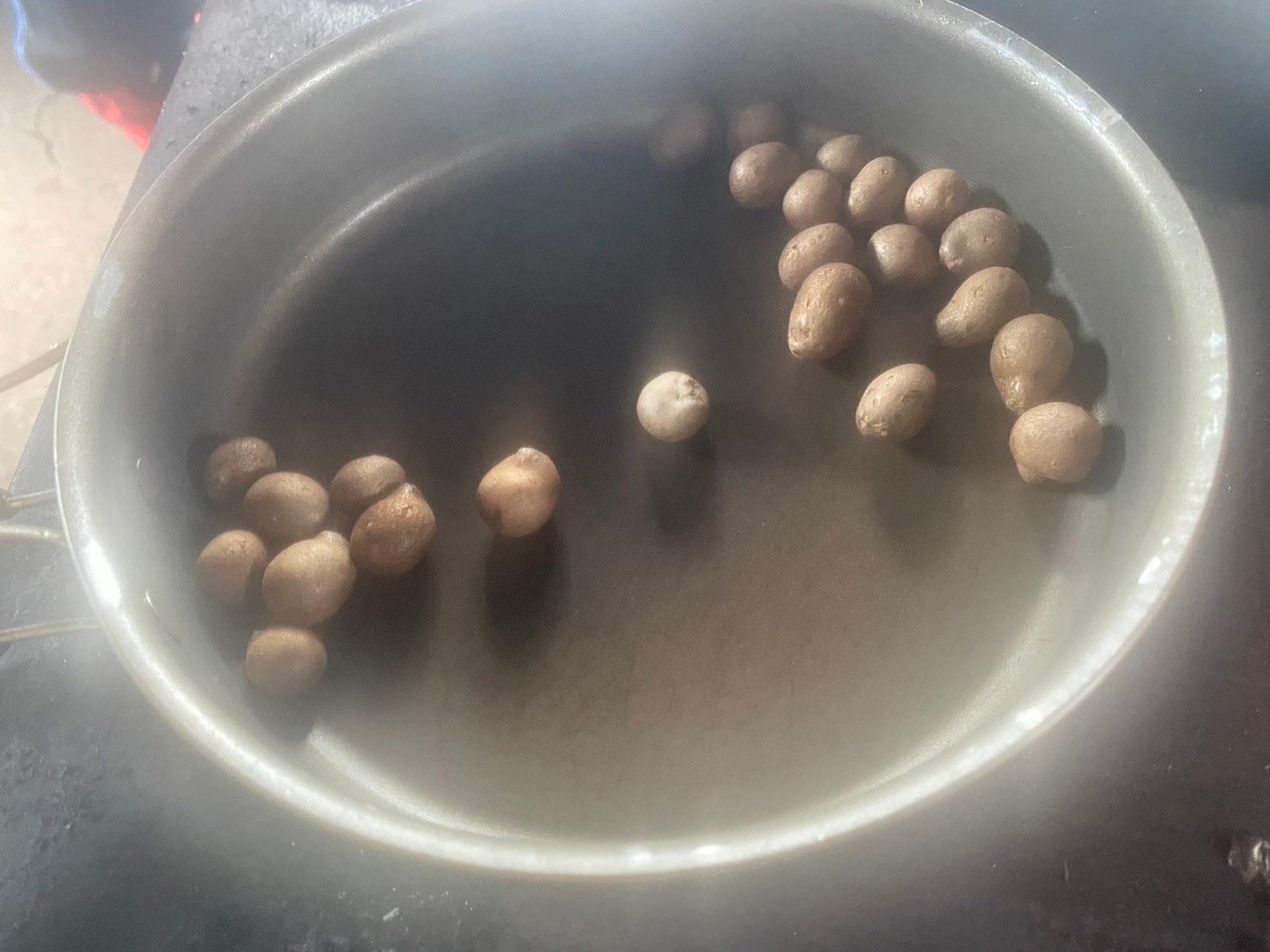 医王山・白兀山・箱屋谷山 むかご