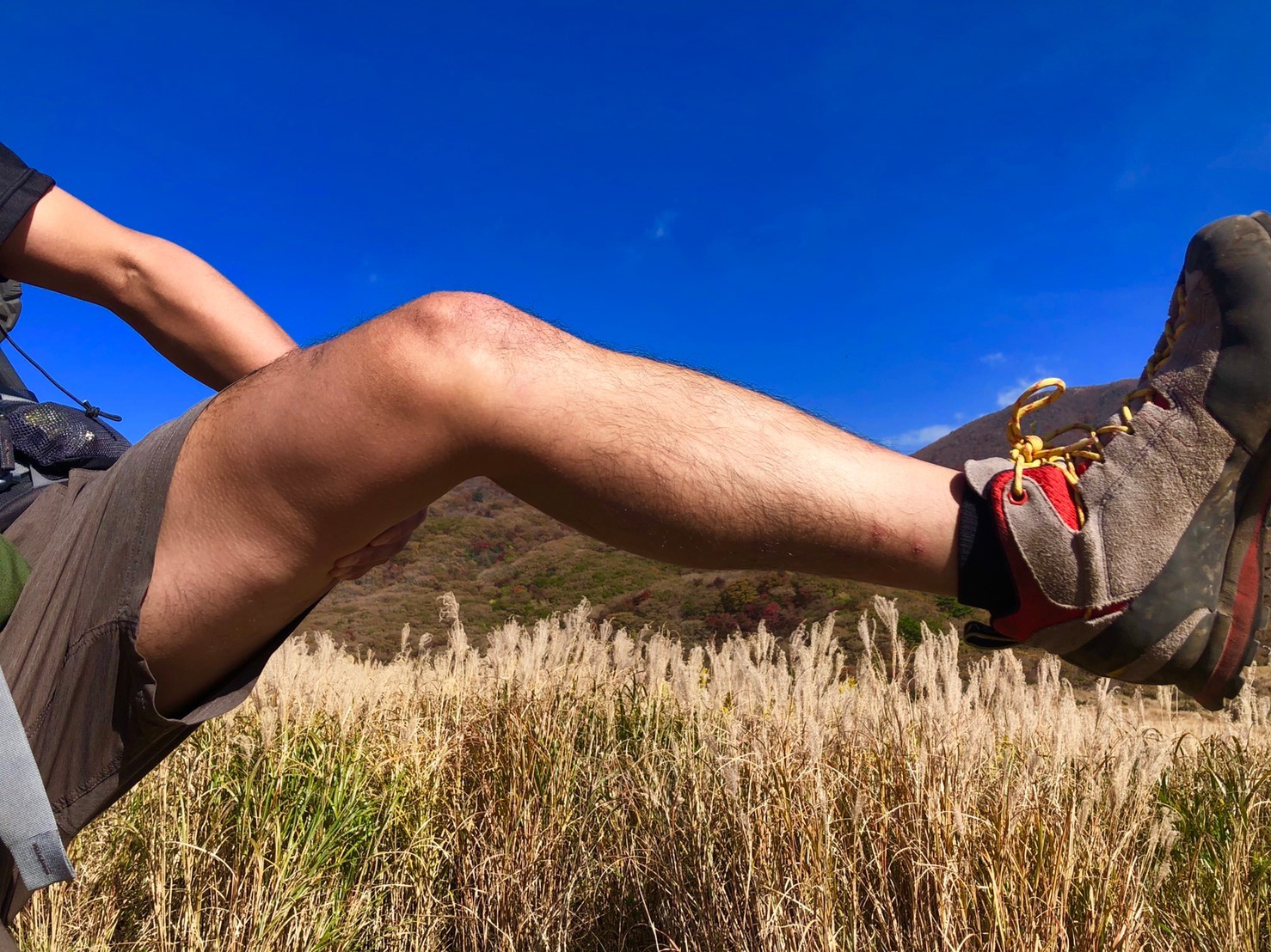 九州山旅 くじゅう連山 憧れの地を巡る 初めましての3人旅 いっしーさんの九重山 久住山 大船山 星生山の活動日記 Yamap ヤマップ