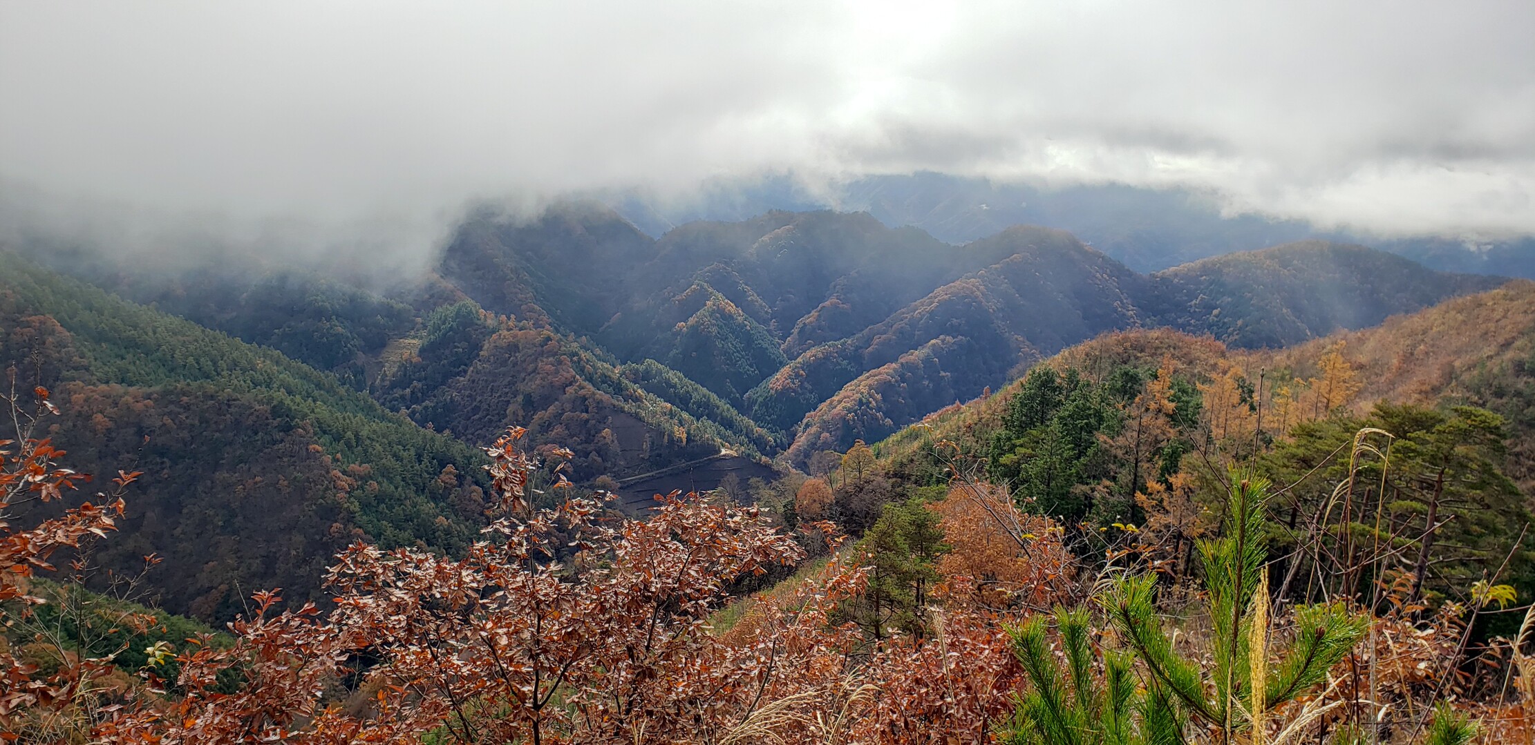 雨上がりの棚横手山 甲州高尾山 ﾃｷｰﾗさんの甲州高尾山 山梨県甲州市 高宕山 源次郎岳の活動日記 Yamap ヤマップ