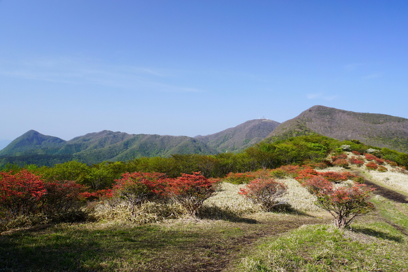 ツツジ見頃の赤城荒山 鍋割山 Wataさんの赤城山 黒檜山 荒山の活動データ Yamap ヤマップ