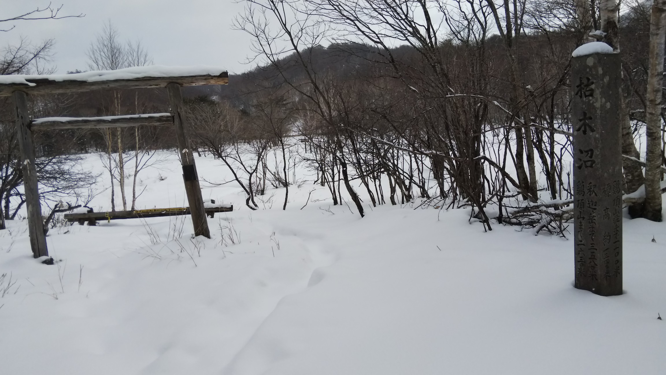 登りきって、枯木沼～