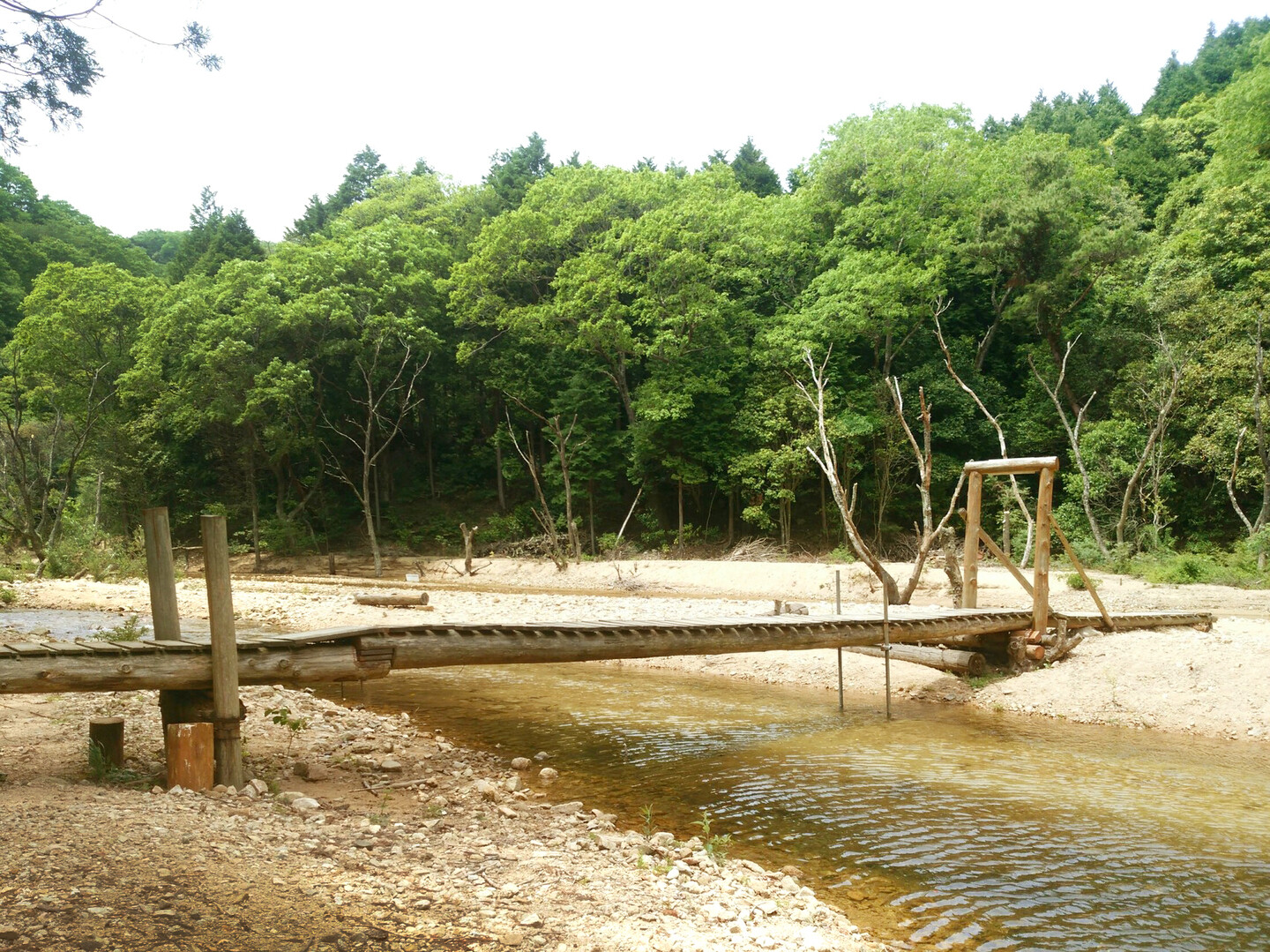 布引の滝から登り 市ケ原や修法ヶ原池を経由して再度山へ ゆうさんの神戸市の活動データ Yamap ヤマップ