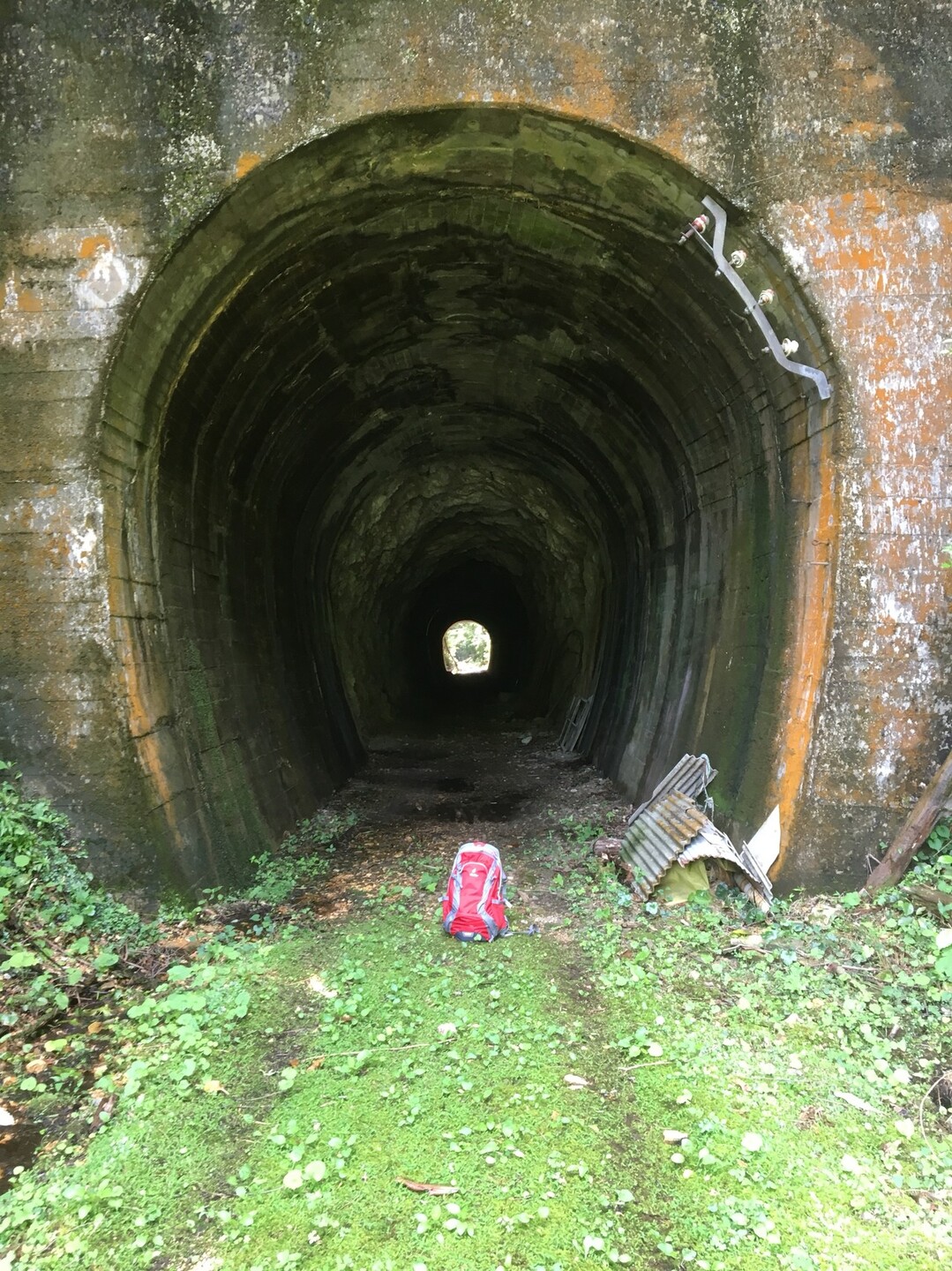 鳳来寺山 たかぼーさんの鞍掛山 愛知県 鳳来寺山 岩古谷山の活動日記 Yamap ヤマップ