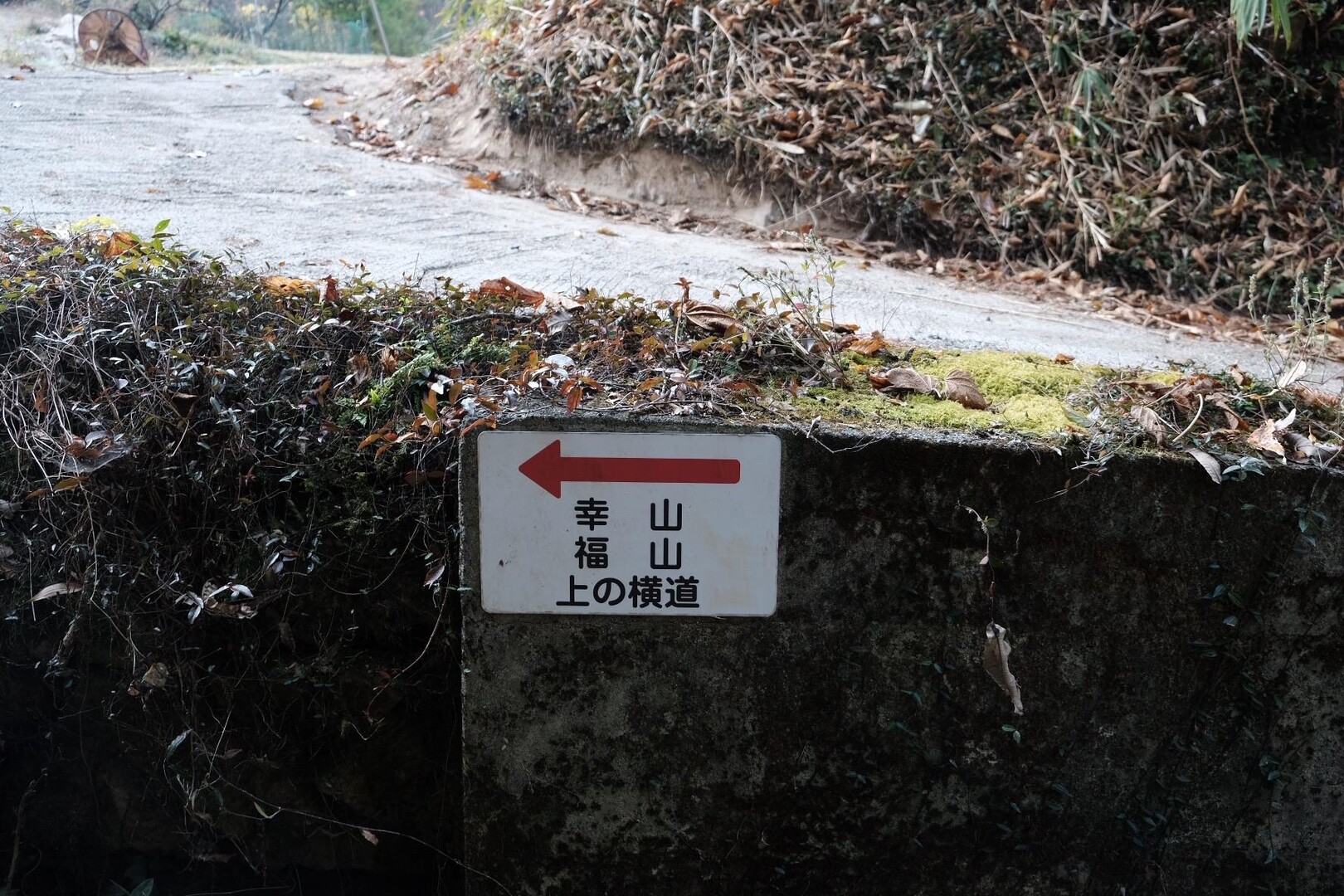 福山・幸山城跡登山 / みさんの福山・江田山・高鳥居山の活動データ YAMAP / ヤマップ