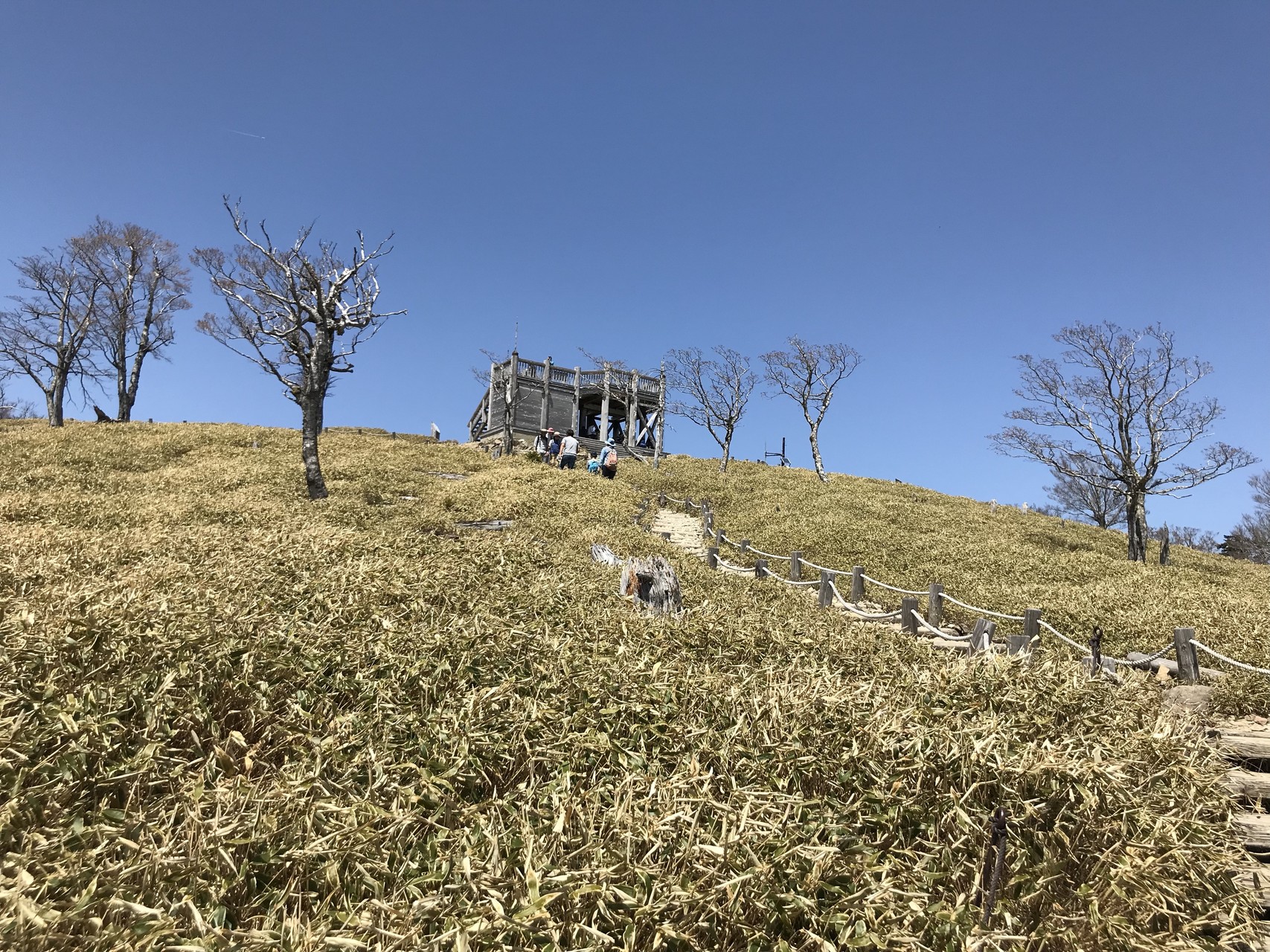 ペットng 大台ケ原 こうたさんの大台ヶ原山 日出ヶ岳 大杉谷の活動データ Yamap ヤマップ