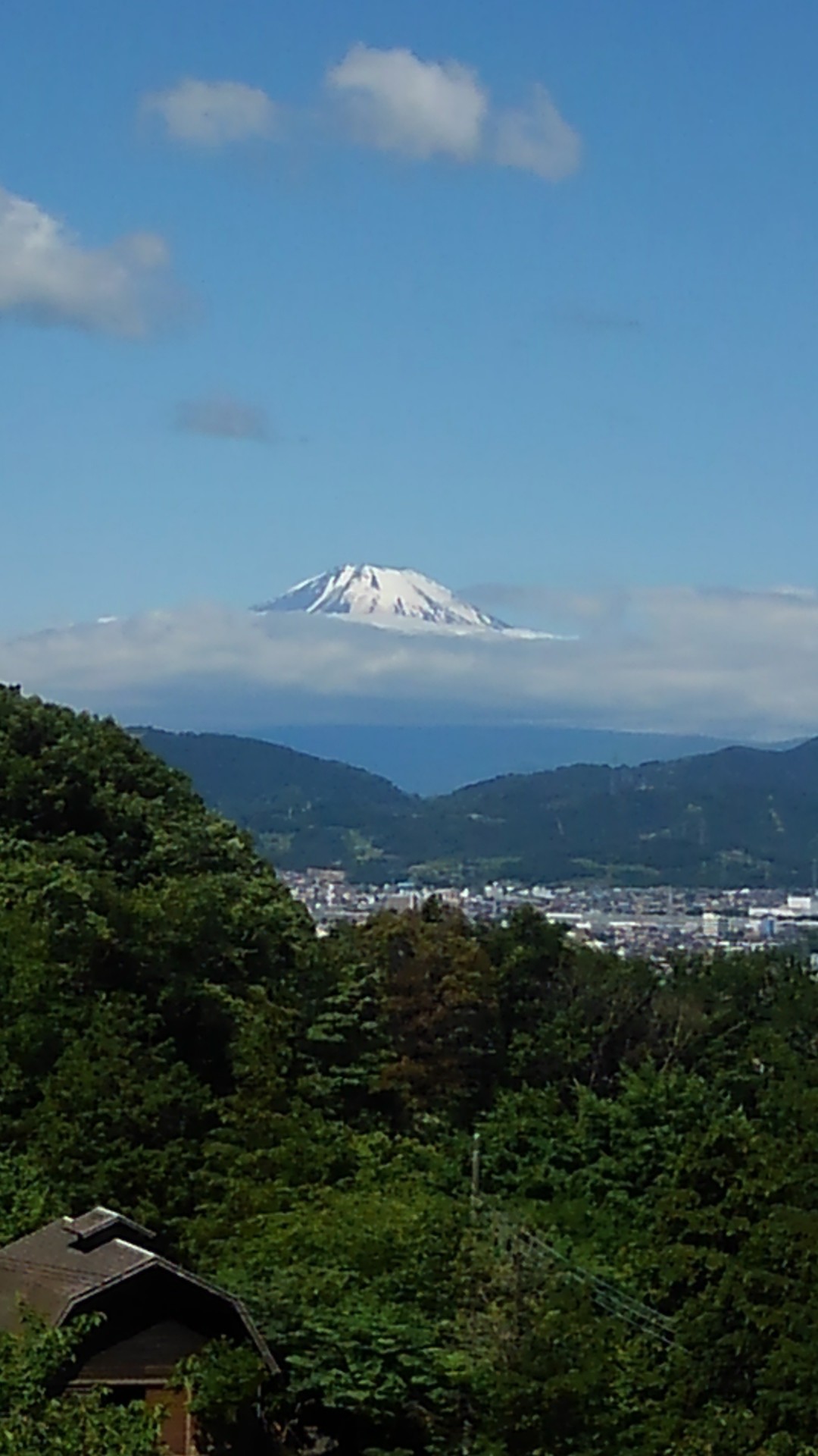 梅雨入り直前～清々し弘法山 / Daisuke Adachiさんの弘法山の活動 ...