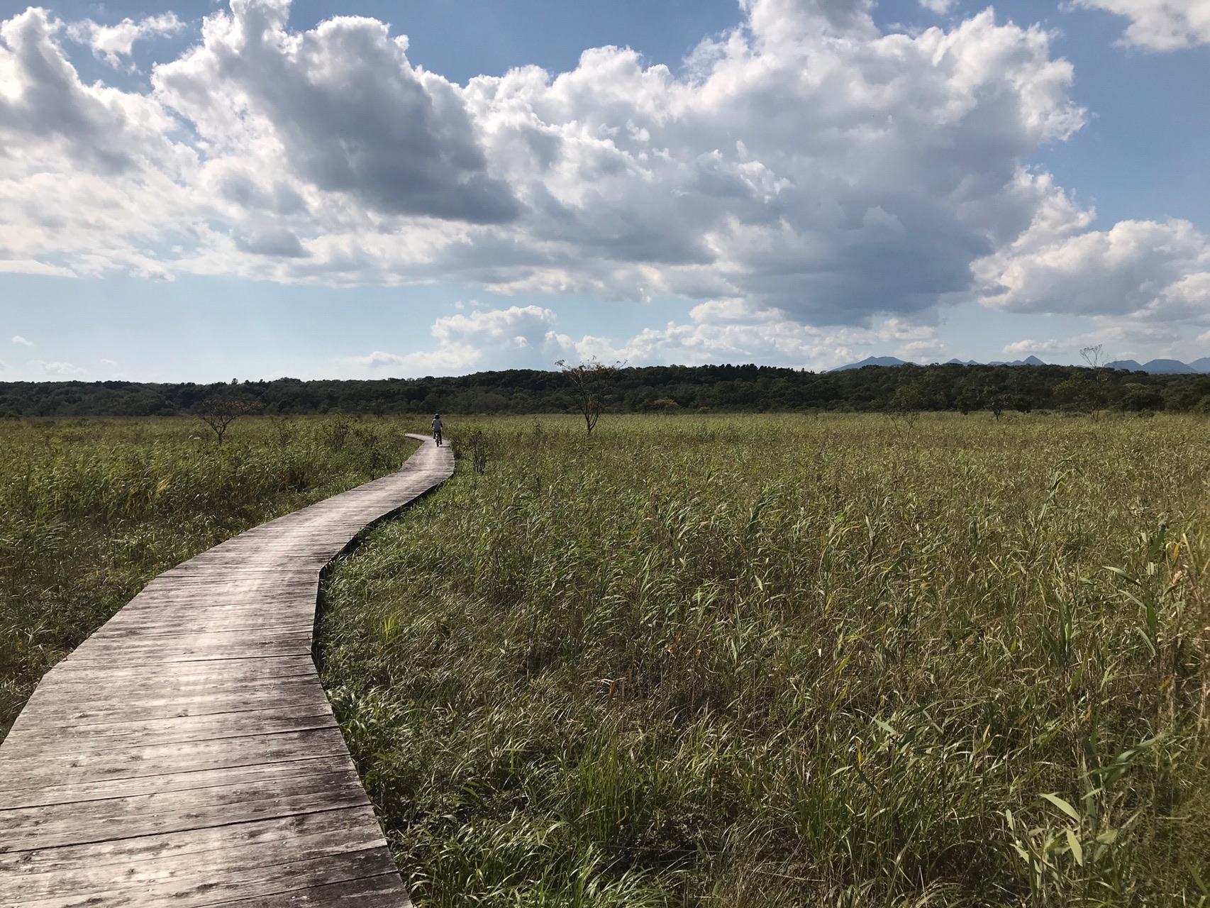 標津湿原 09 19 Take さんのハイキングの活動日記 Yamap ヤマップ