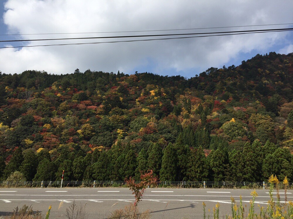 宇賀渓は満車でしたが、山を越えたら美しい... / kikufenwickさんのモーメント YAMAP / ヤマップ