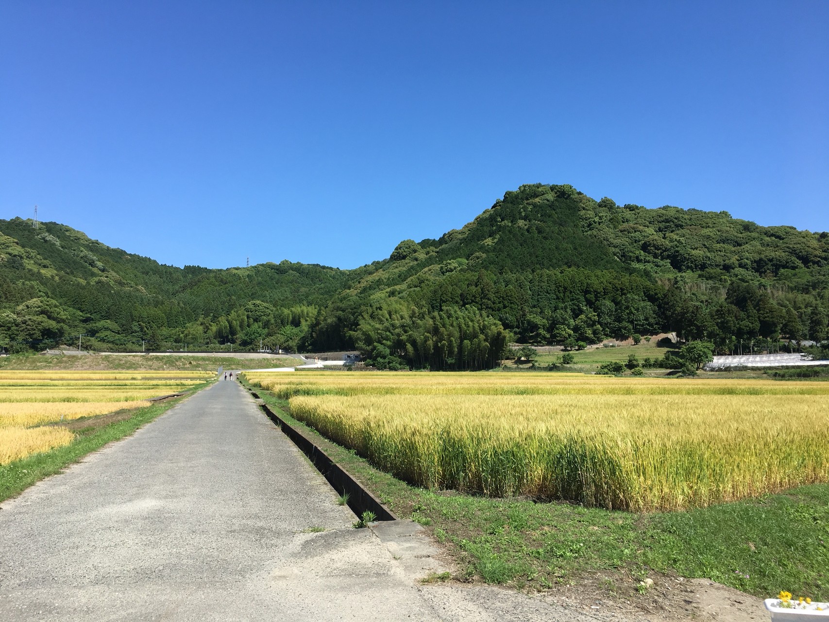 やってまった 小鷹城山 ゆずさんの目配山の活動データ Yamap ヤマップ