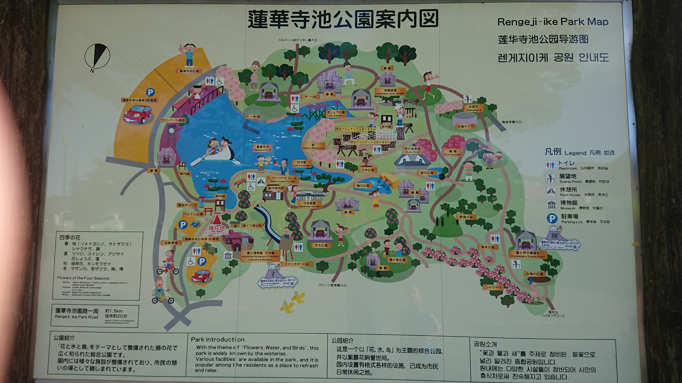 子供と一緒に蓮花寺池公園から清水山までのハイキング Ktomcatさんの藤枝市の活動日記 Yamap ヤマップ