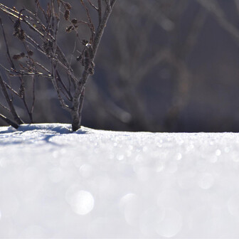 鳥海山・七高山・笙ヶ岳 キラキラ✨