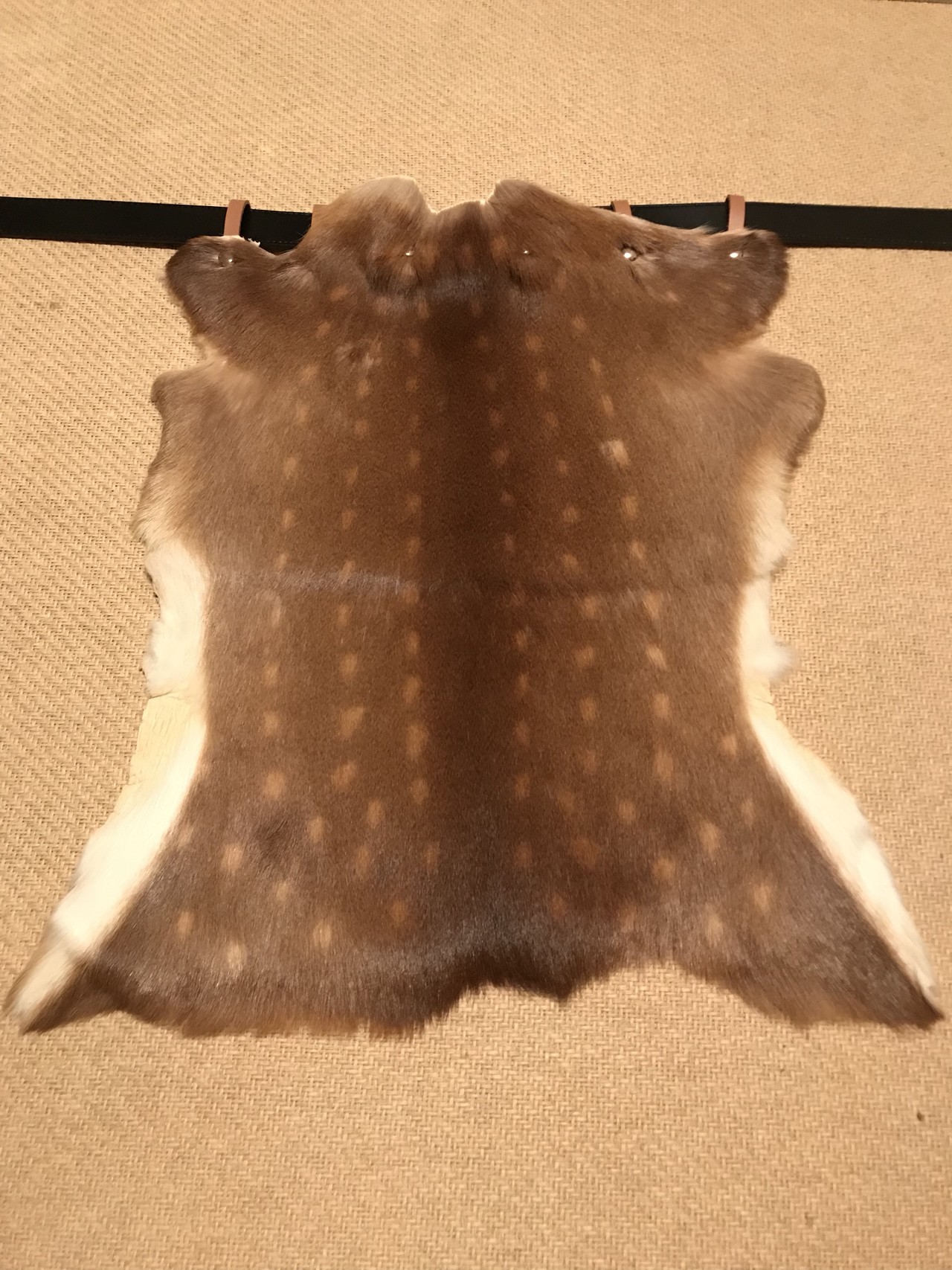 鹿皮尻皮ラグマット登山アイテム尻あて