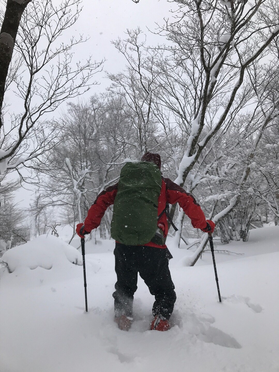 7.4 km 自転車 時間