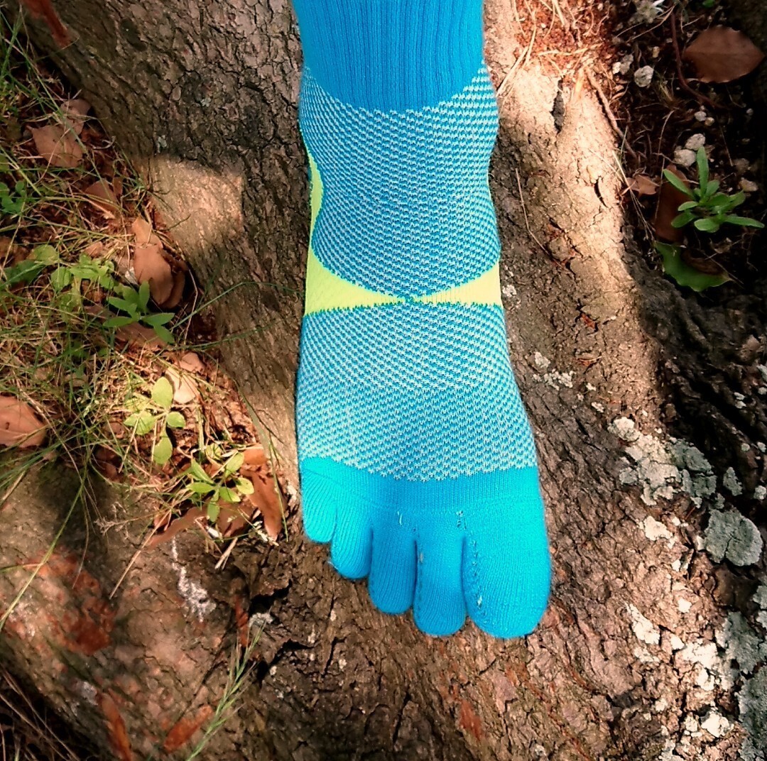 駕与丁公園 かよいちょうこうえん コックンさんの篠栗町の活動日記 Yamap ヤマップ