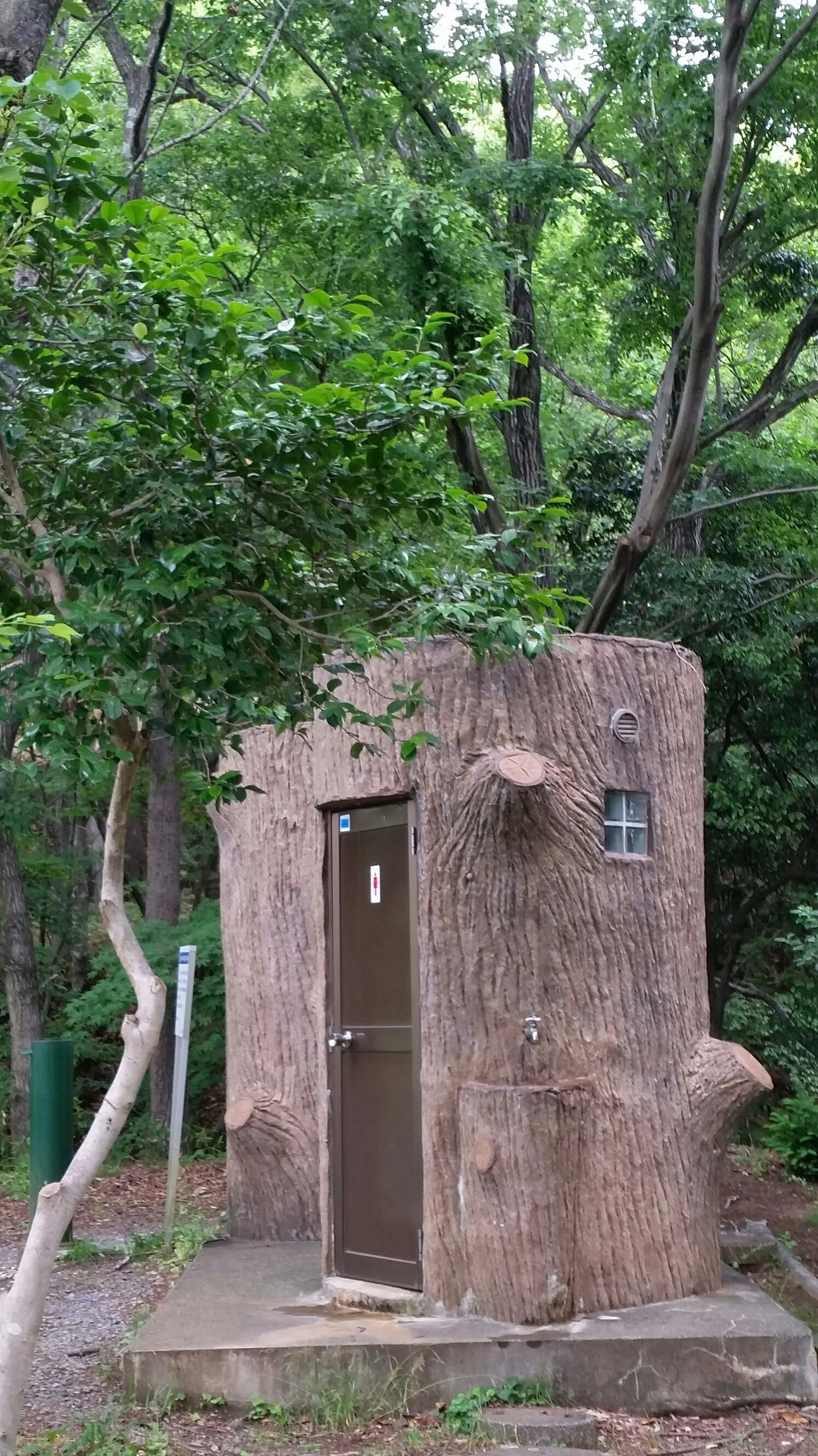 居ても立ってもいられずに 弘法山 ハイキング27 みっちー さんの弘法山の活動日記 Yamap ヤマップ