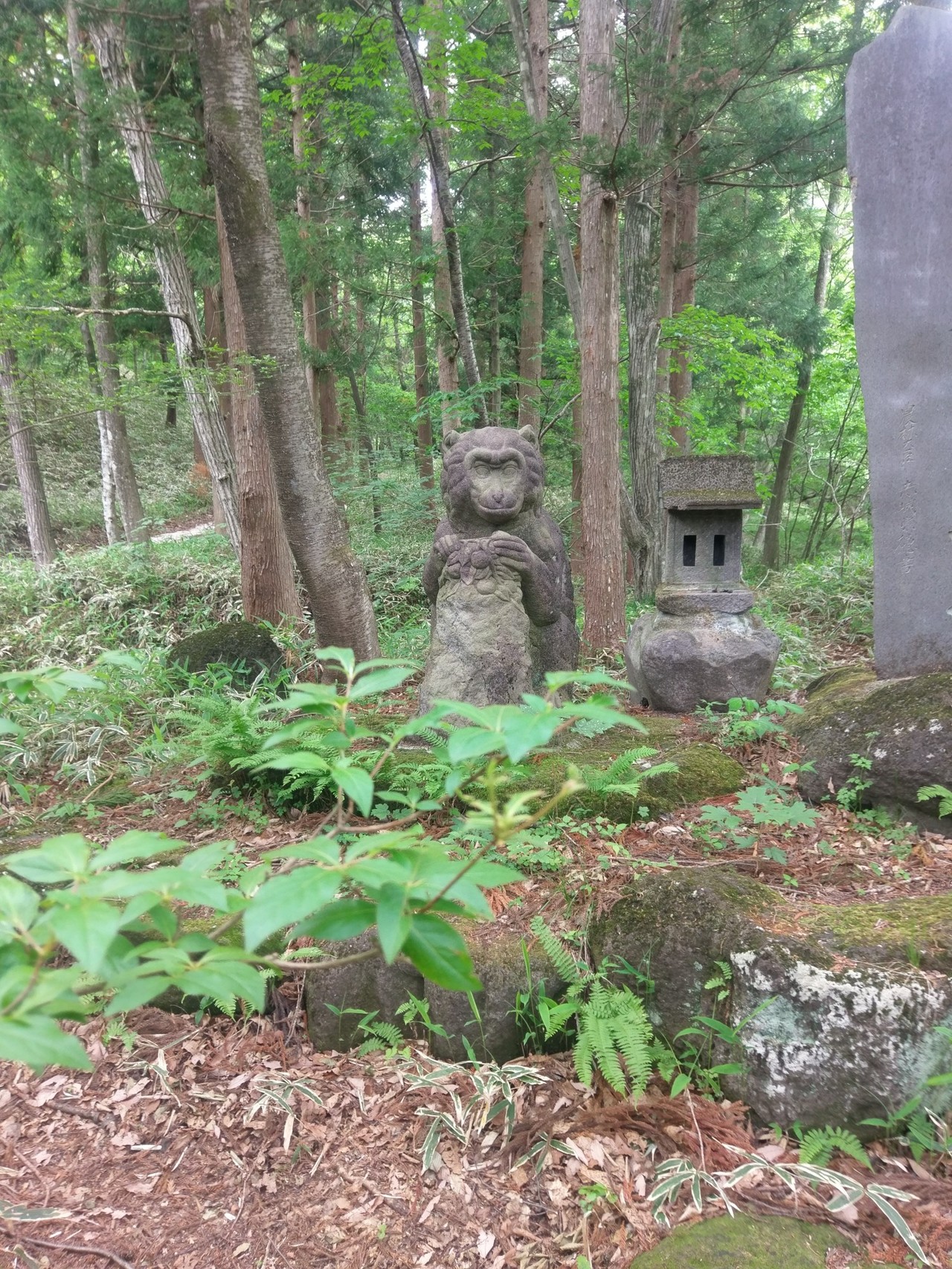 グンマーヤマバッカ共和国 番外編 太田蜀山人の歌碑を訪ねて いっちゃんさんの赤城山 黒檜山 荒山の活動日記 Yamap ヤマップ