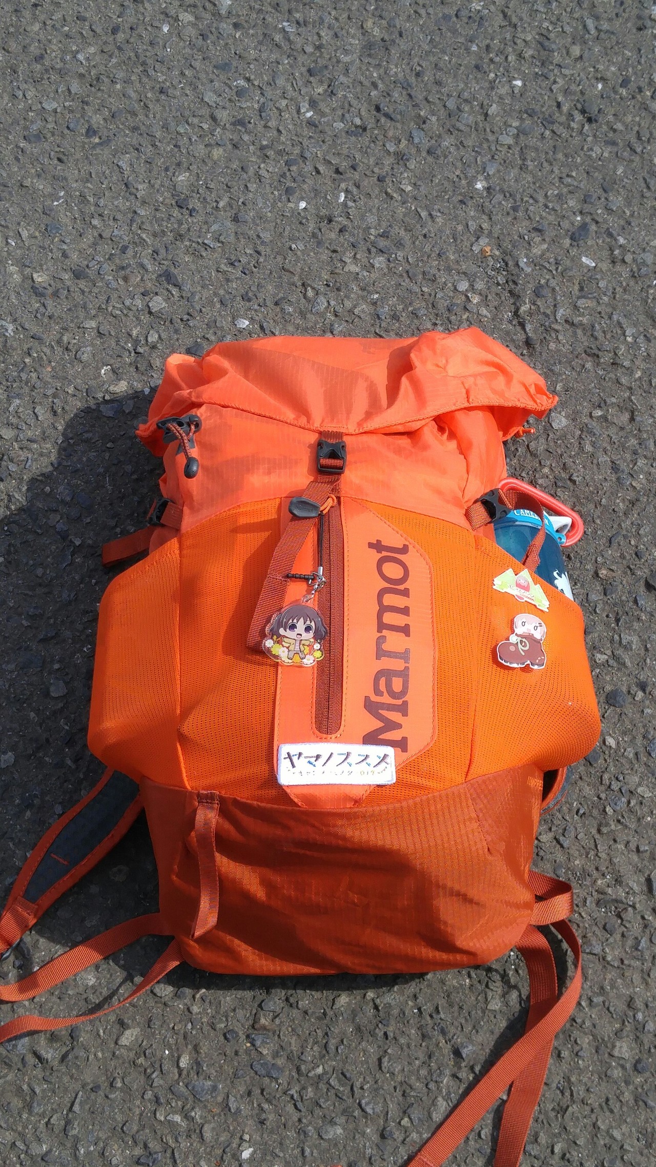 Love飯能 ヤマノススメウォーク ぽいっさんの天覧山 多峯主山 天覚山の活動日記 Yamap ヤマップ