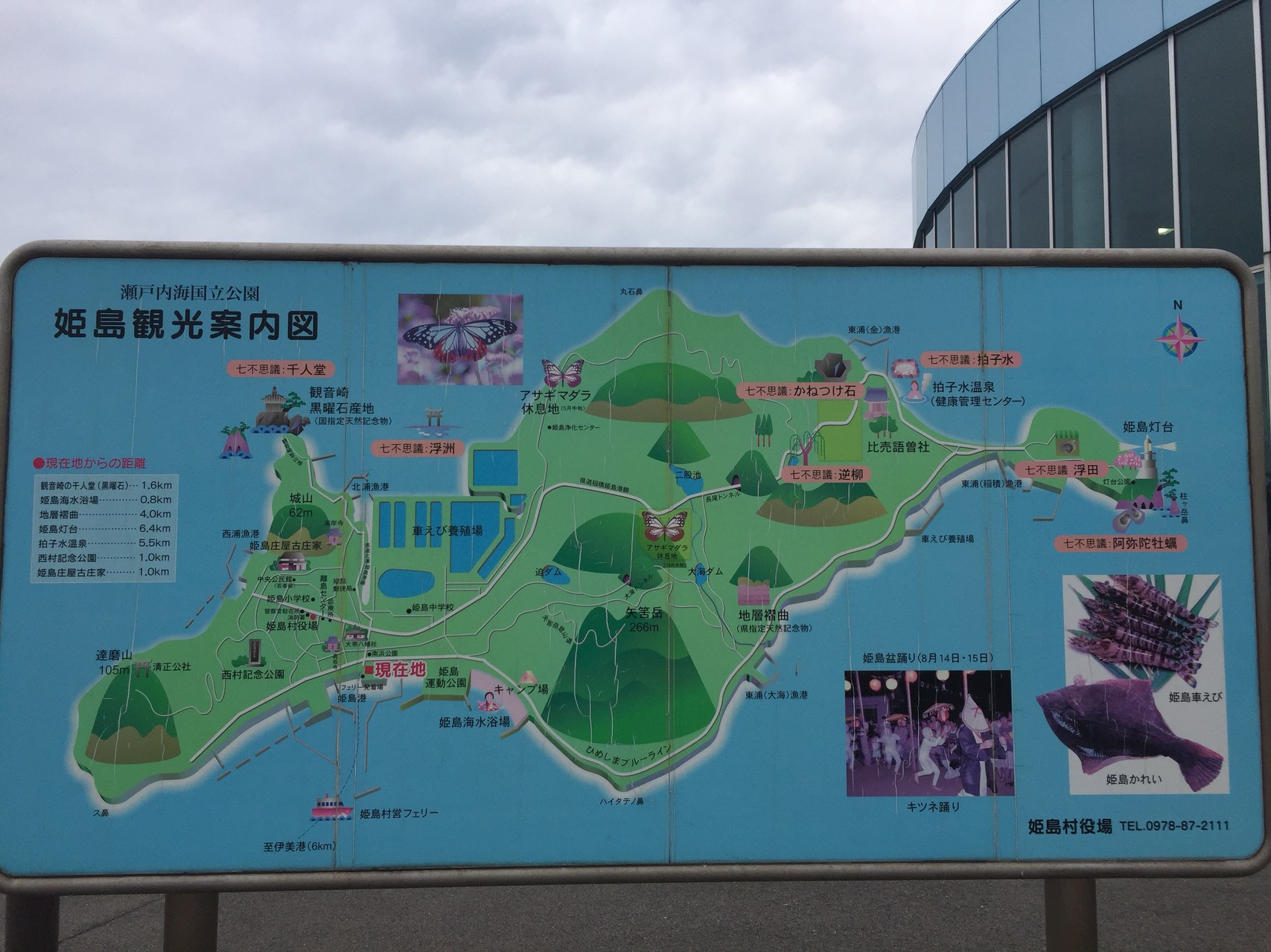 Simap 姫島へアサギマダラを見に行こう にもりさんの姫島 大分県 の活動日記 Yamap ヤマップ