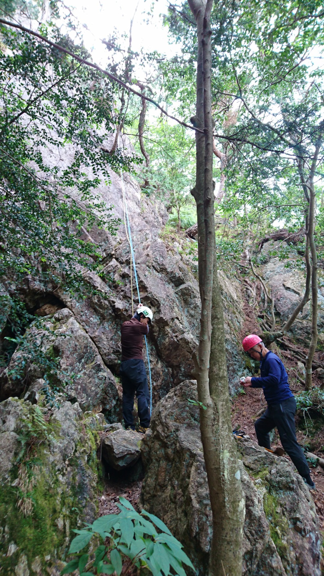 京都の金比羅山にアルパインクライミングに行ってきました のこちゃんさんの金毘羅山 京都府 翠黛山 焼杉山の活動データ Yamap ヤマップ
