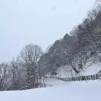 安房峠への車道(冬季閉鎖)