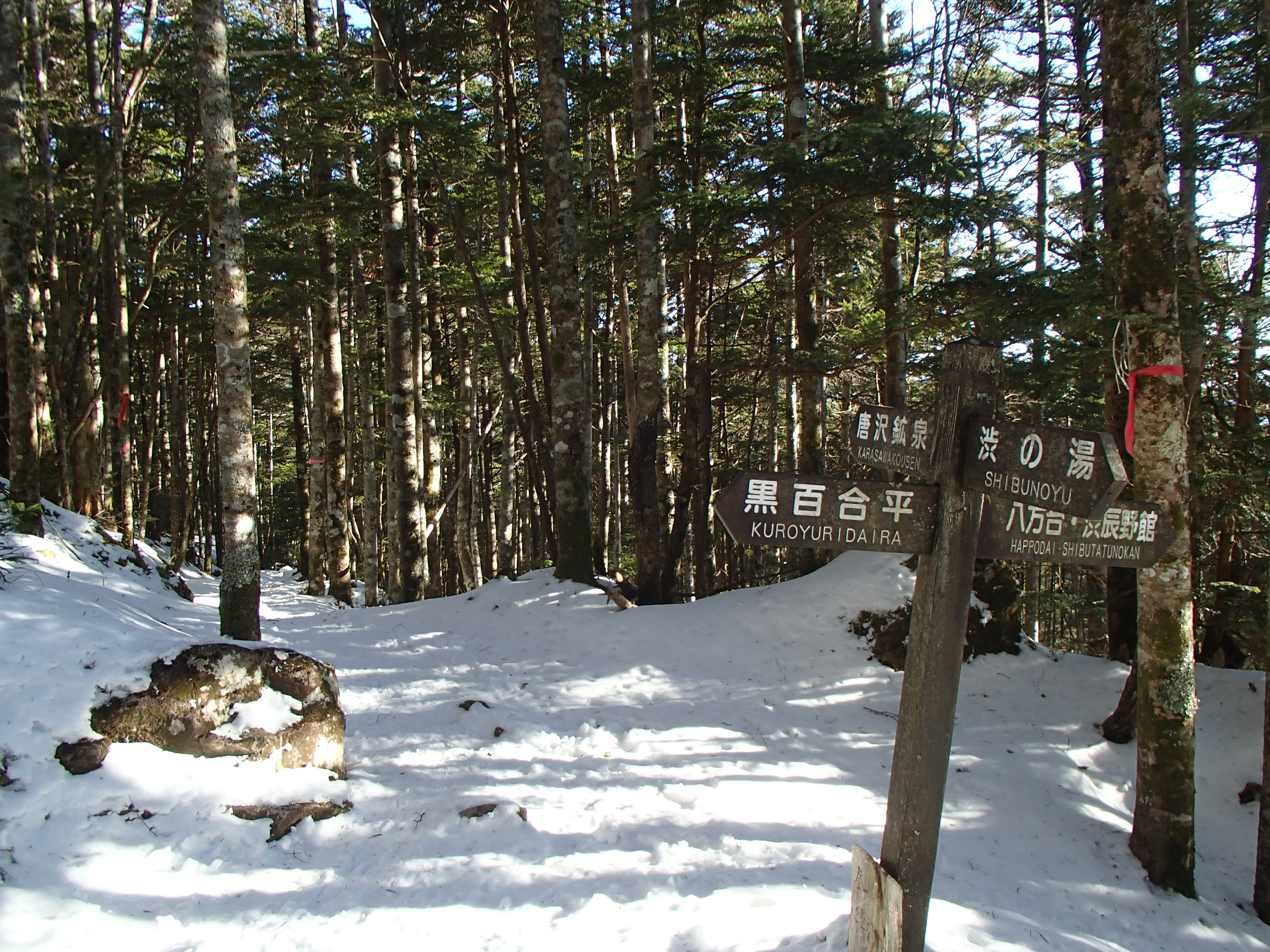 八ヶ岳 天狗岳 中山 高見石 丸山 02 10 にのっちさんの八ヶ岳 赤岳 硫黄岳 天狗岳 の活動日記 Yamap ヤマップ