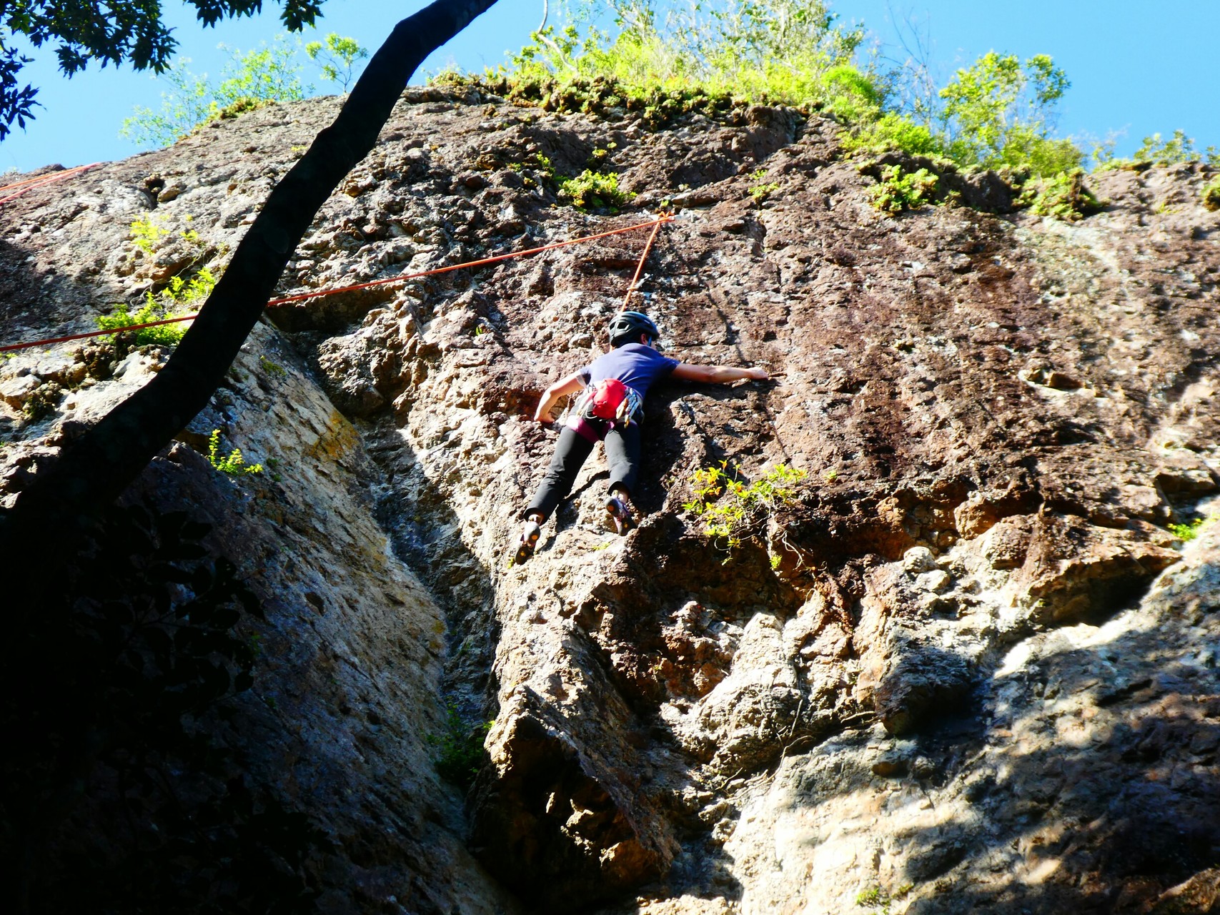 山口県でロッククライミング参加 Toshiyaさんの白滝山 下関市 の活動データ Yamap ヤマップ