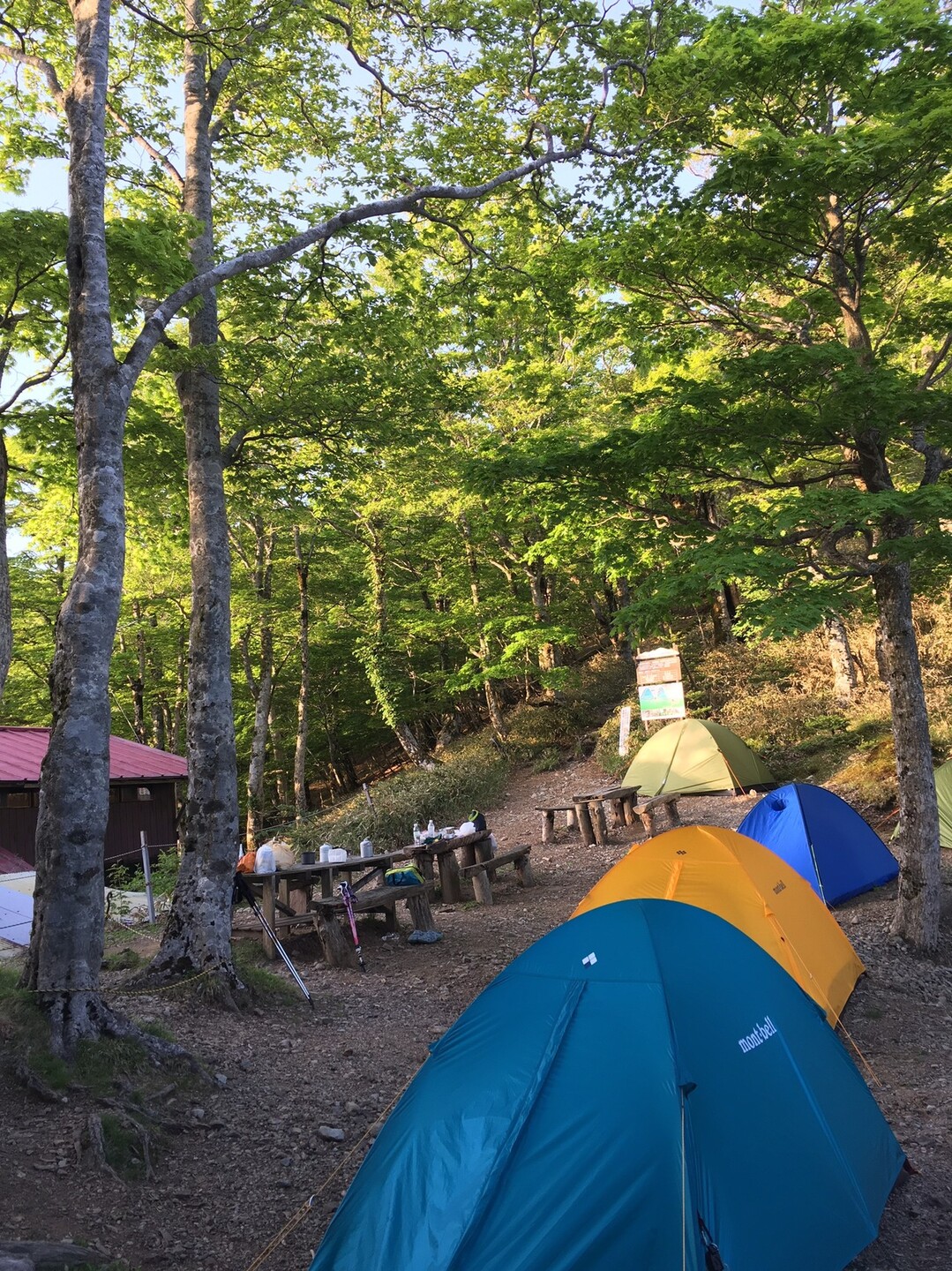 稲村ヶ岳で初テント泊 o(^▽^)o  🍃