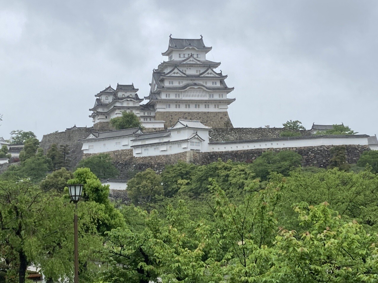 雨降りの中 姫路城西の丸の千姫ボタン園に りんごさんのモーメント Yamap ヤマップ