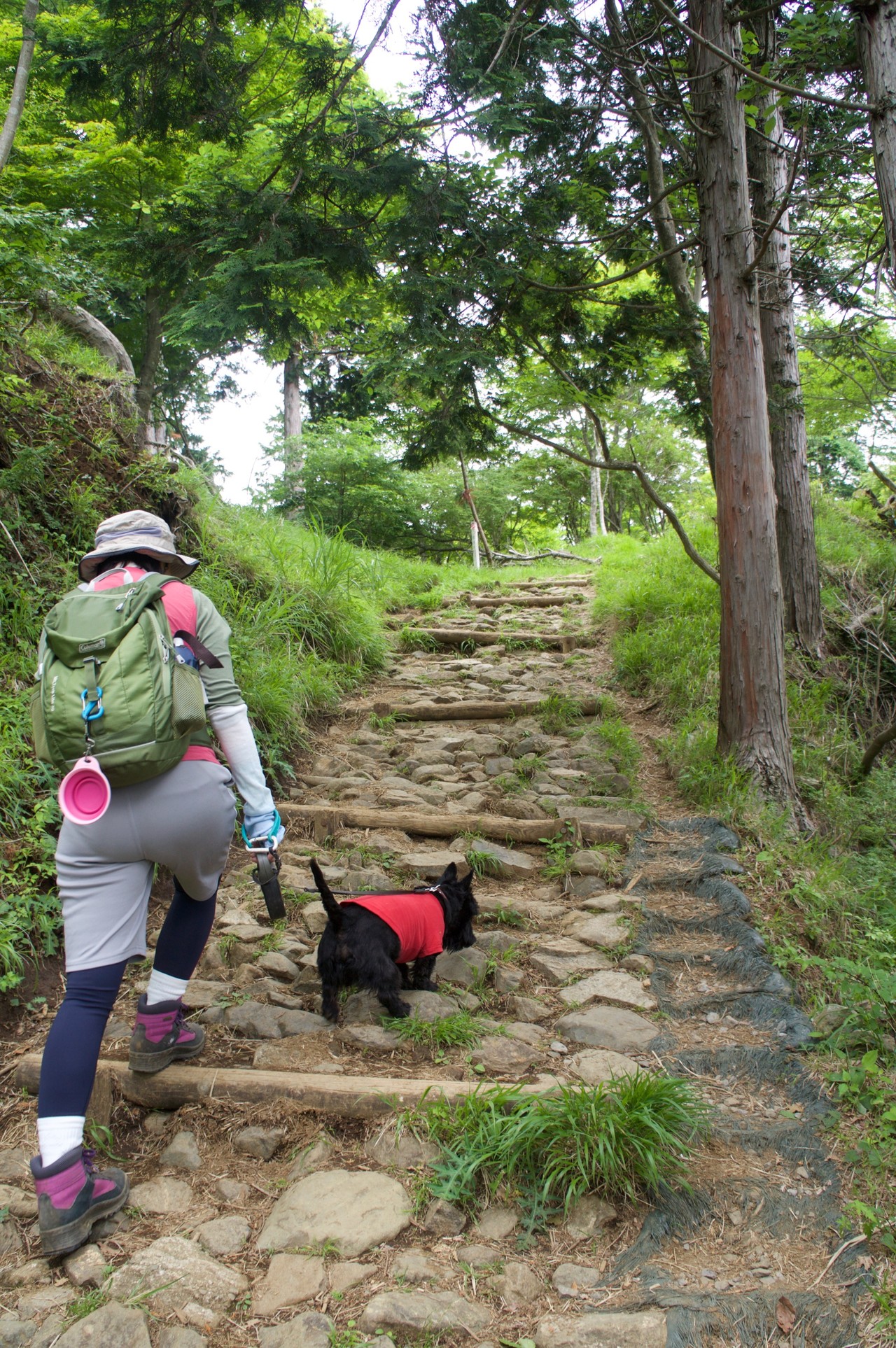 ヤビツ峠から大山へ登り 阿夫利神社へ降りて更にかごや道を登り返してヤビツ峠へ戻るロングコース まっき 自家焙煎コーヒー豆の店cafetierさんの大山の活動データ Yamap ヤマップ