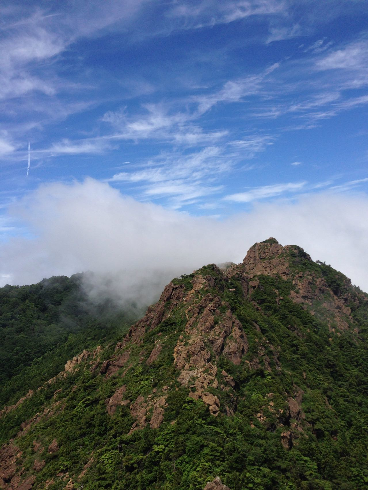 東赤石山 西赤石山 ロックな縦走 よっしーさんの笹ヶ峰 寒風山 平家平の活動データ Yamap ヤマップ