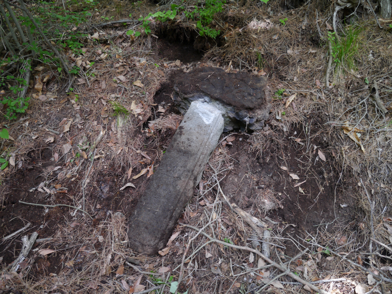 浅間山・黒斑山・篭ノ登山 廿四丁の丁石
古道が無くなってしまっていた所を主催者の皆さんが刈りはらって道をつけて通れるようにしてくれてありました
古道の証拠として丁石が埋まっていたのを参加者の力自慢数名でひっくり返して廿四丁を確認しました