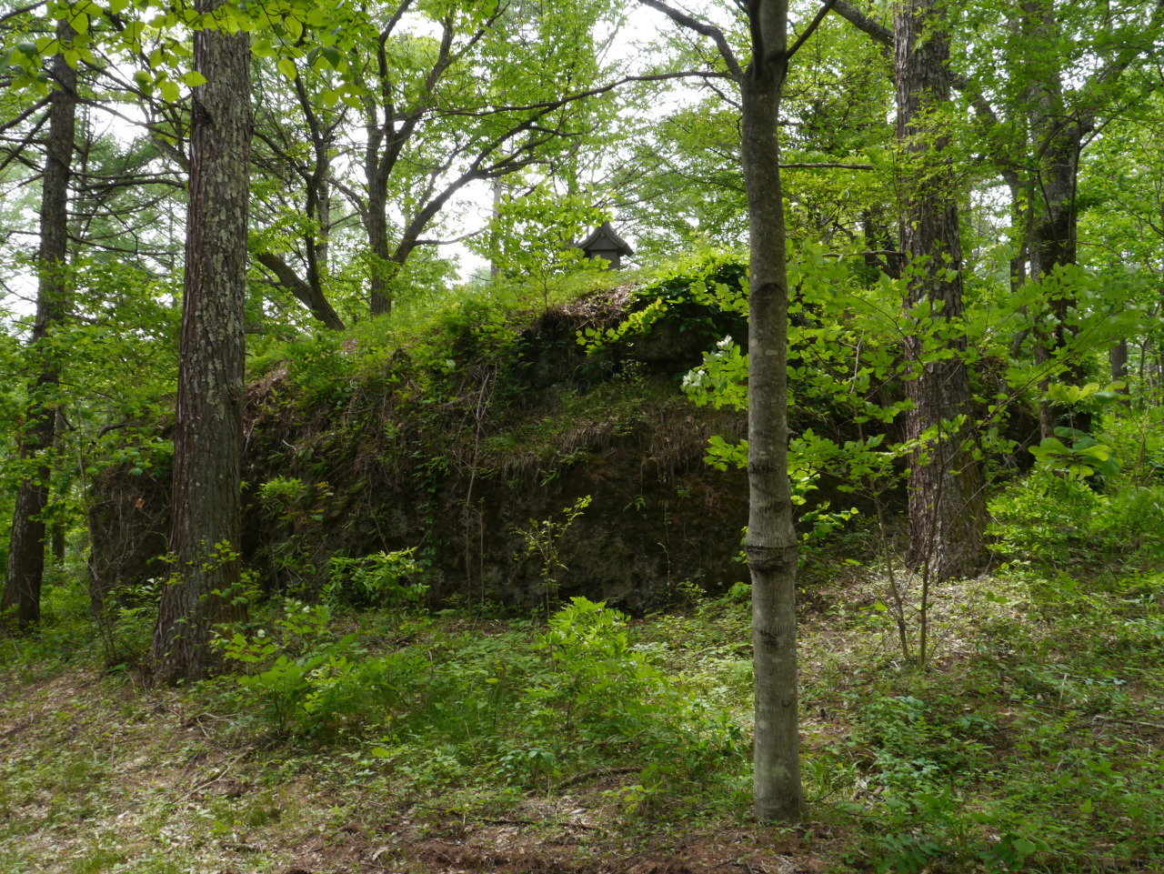 浅間山・黒斑山・篭ノ登山 七尋石
噴火に伴う融雪泥流で流れてきたと伝わる大岩
一尋は6尺≒1．818m（5尺≒1．515mとする場合もある）
七尋は≒12．7m