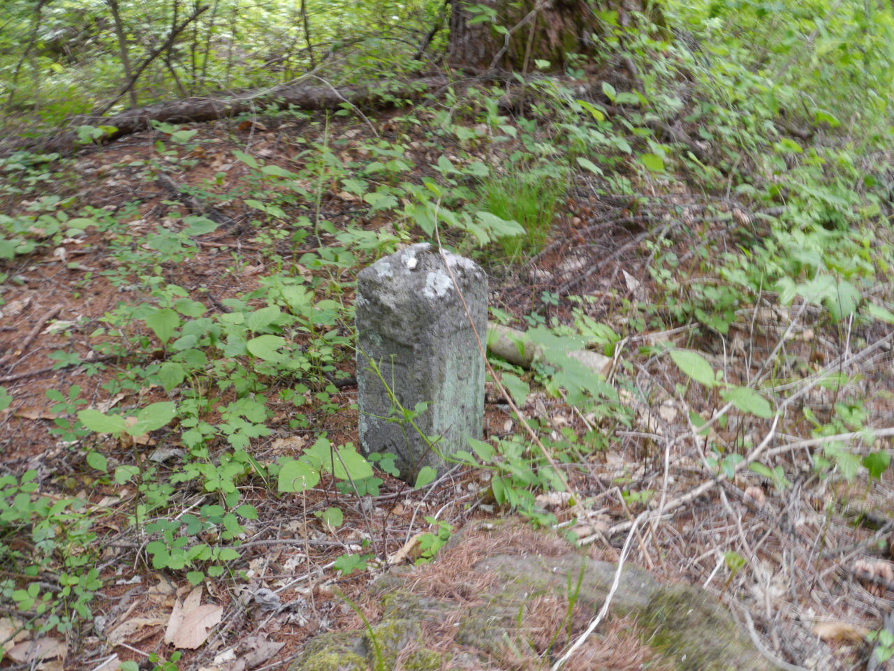 浅間山・黒斑山・篭ノ登山 一里八丁の丁石