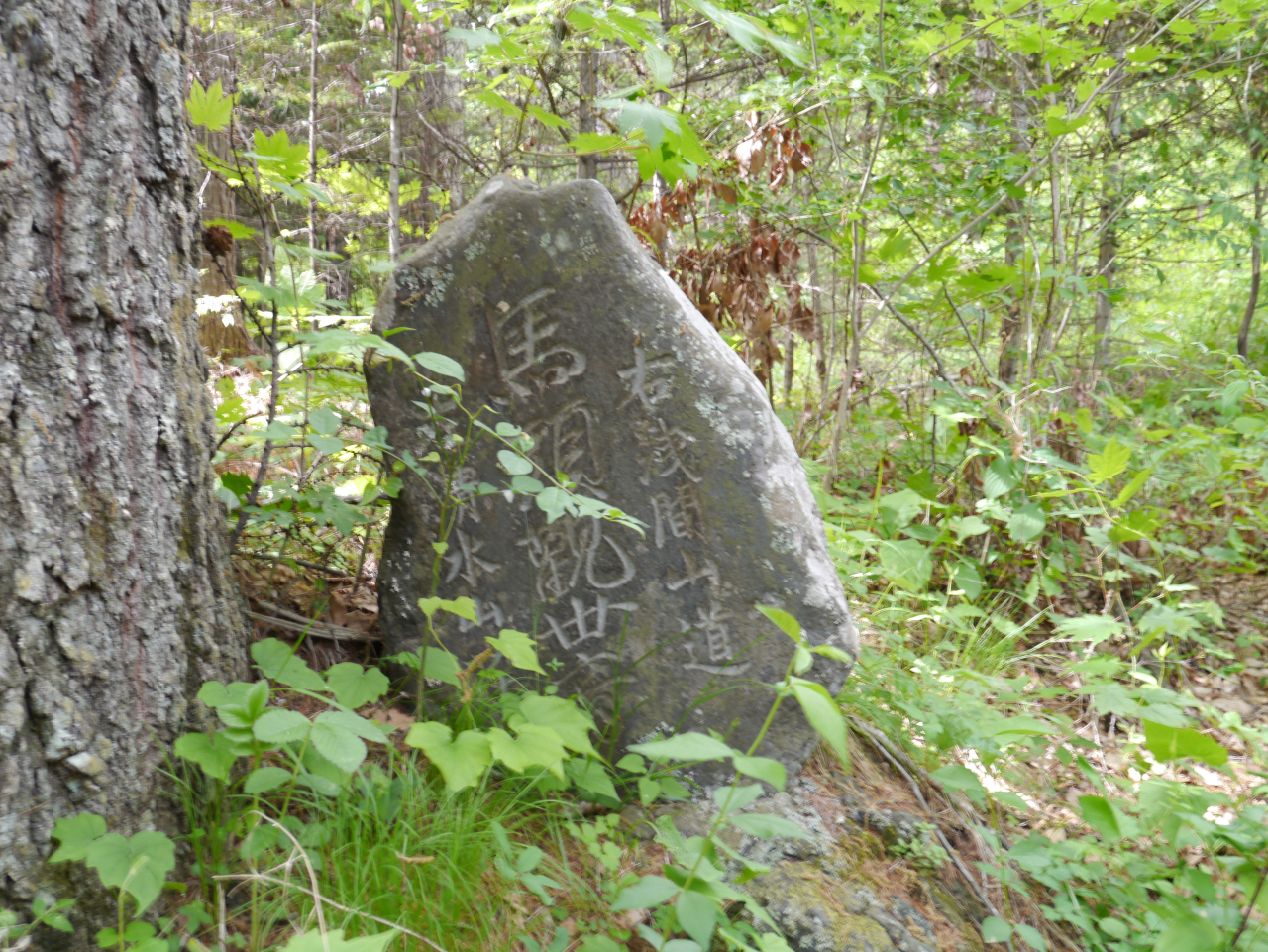浅間山・黒斑山・篭ノ登山 馬頭観世音