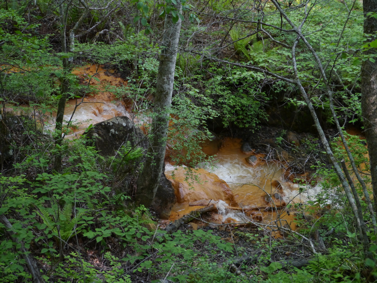 浅間山・黒斑山・篭ノ登山 蛇掘川
水に鉄分が多いようで川底は赤くなってます