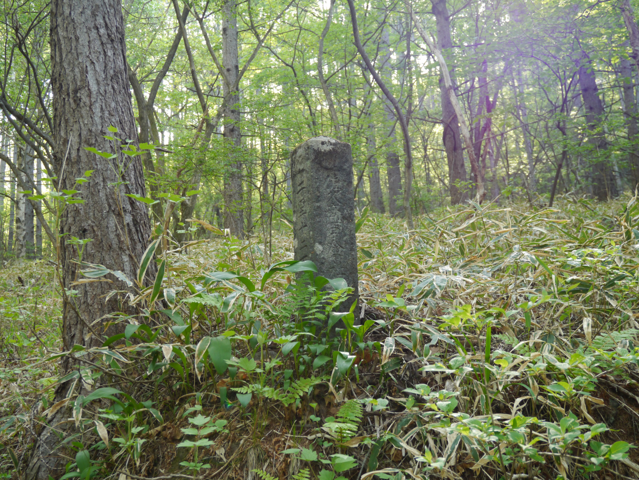 二里十二丁の丁石