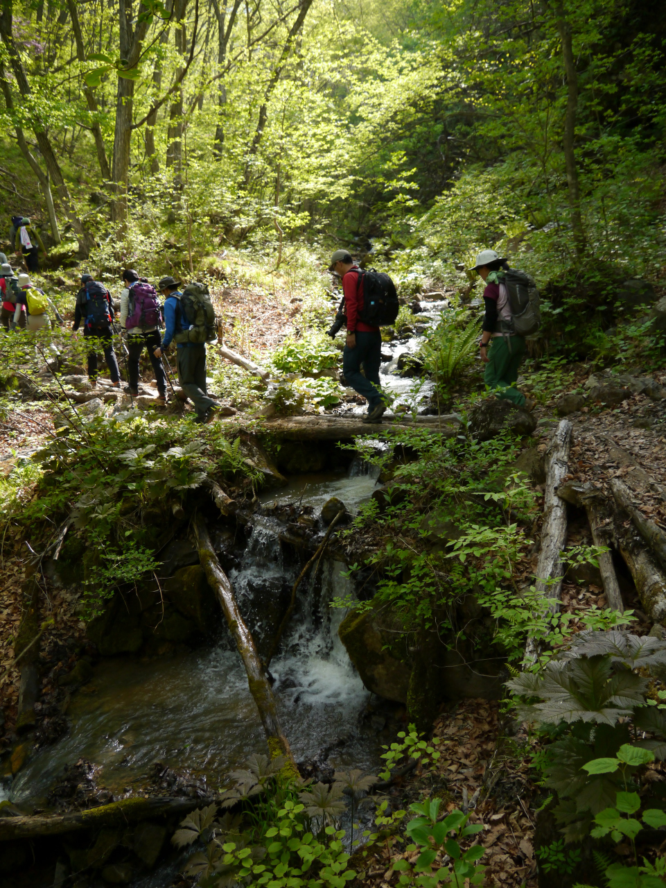 蛇堀川の流れを渡る