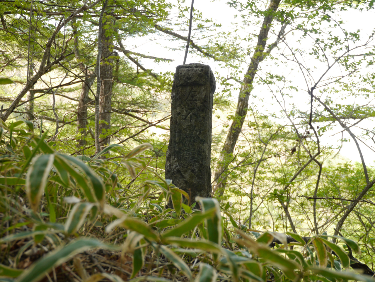 二里廿四丁の丁石